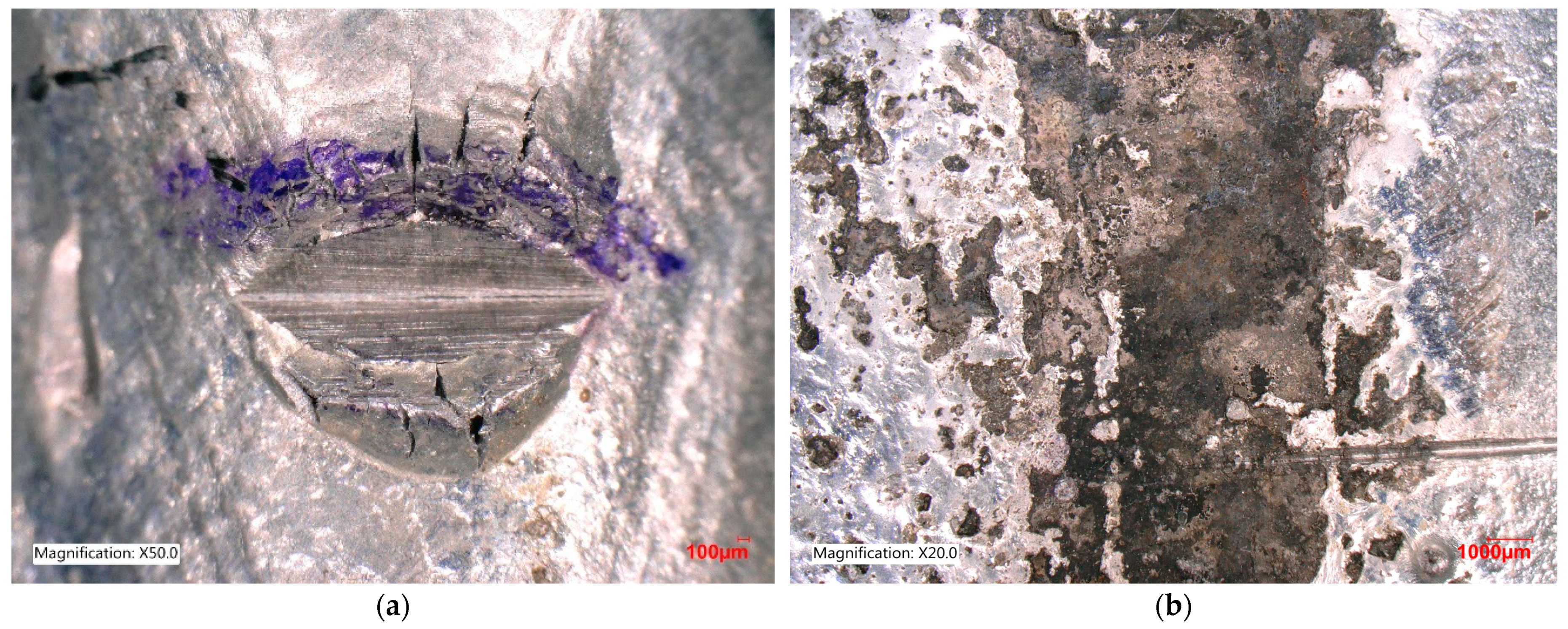 Coatings 14 00493 g015