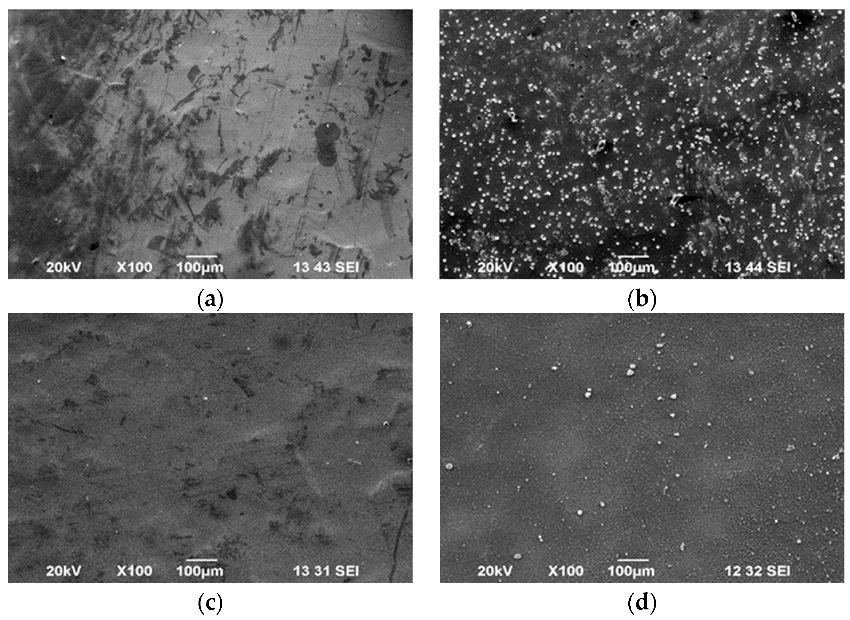 Coatings 14 00495 g003 Coatings 14 00495 g003