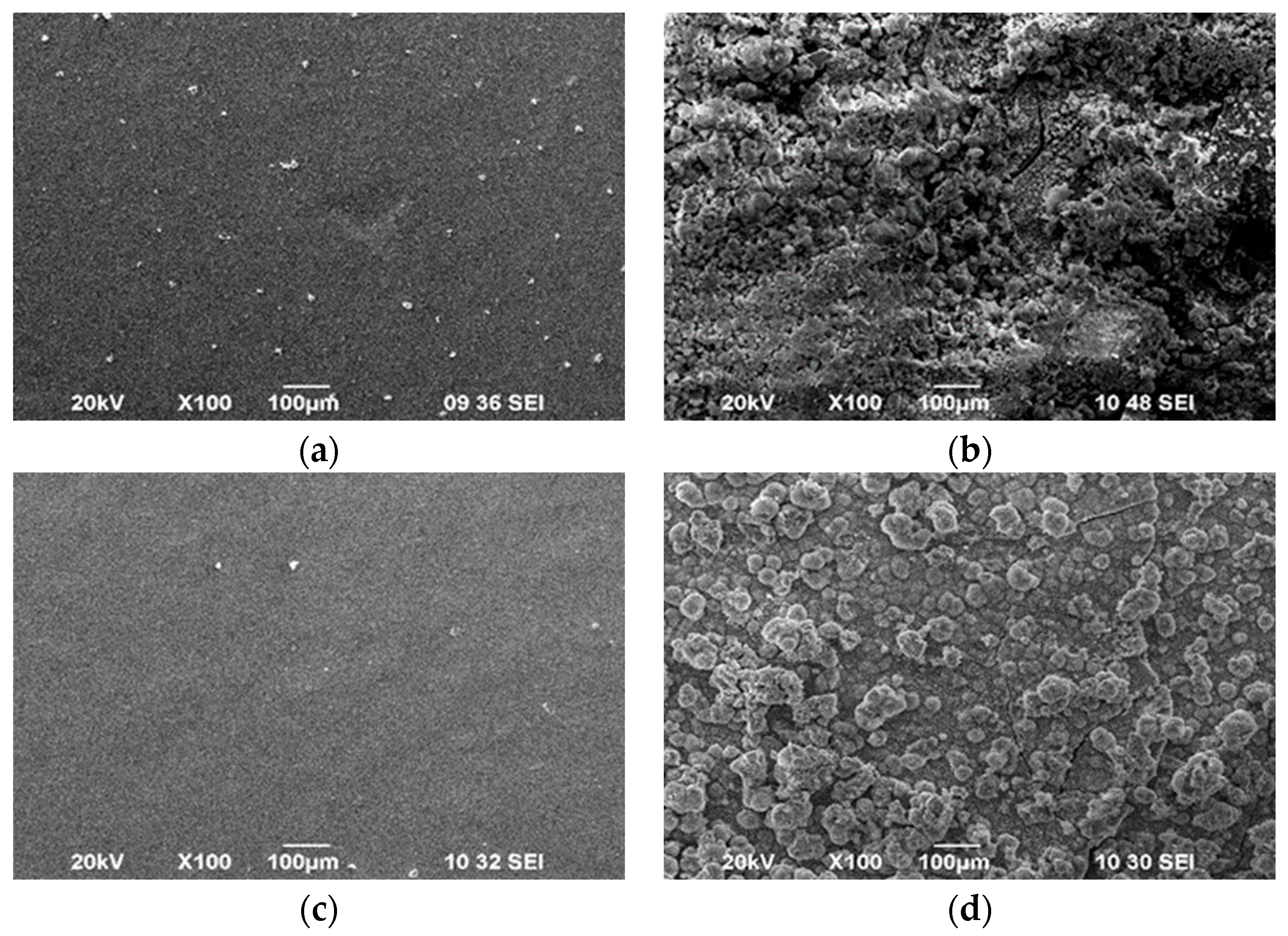 Coatings 14 00495 g004 Coatings 14 00495 g004