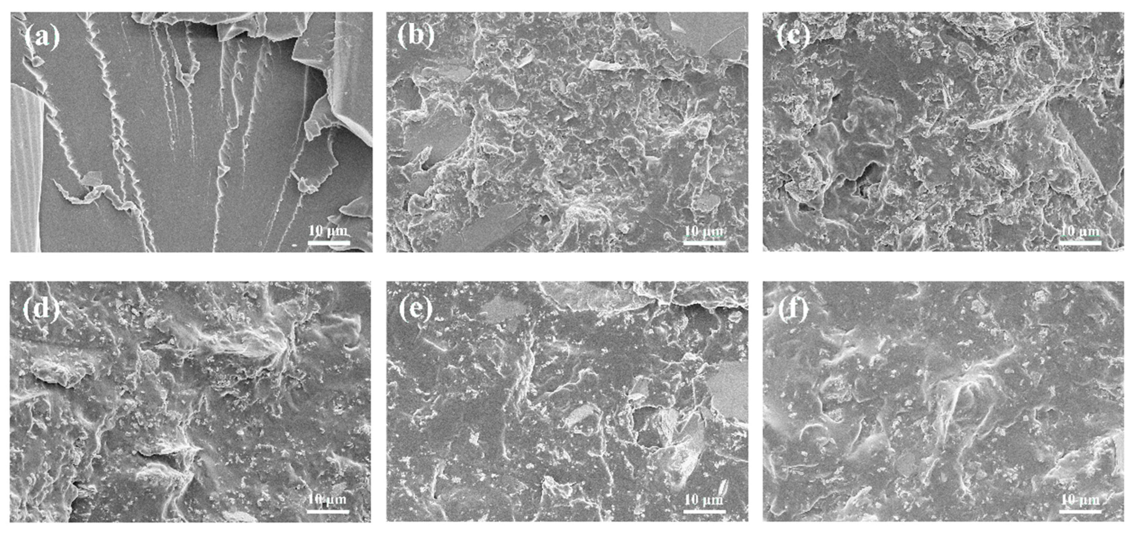 Coatings 14 00503 g006