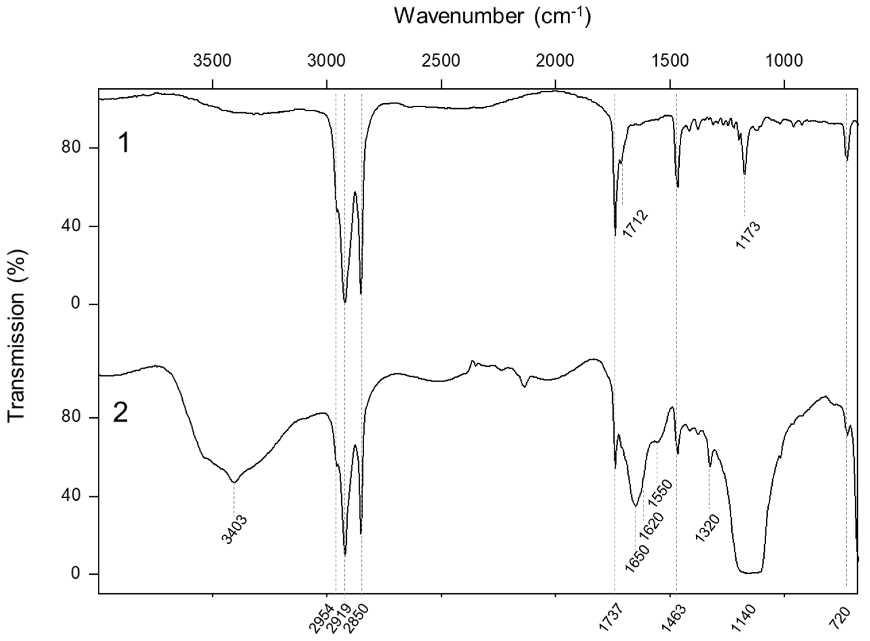 Coatings 14 00511 g002