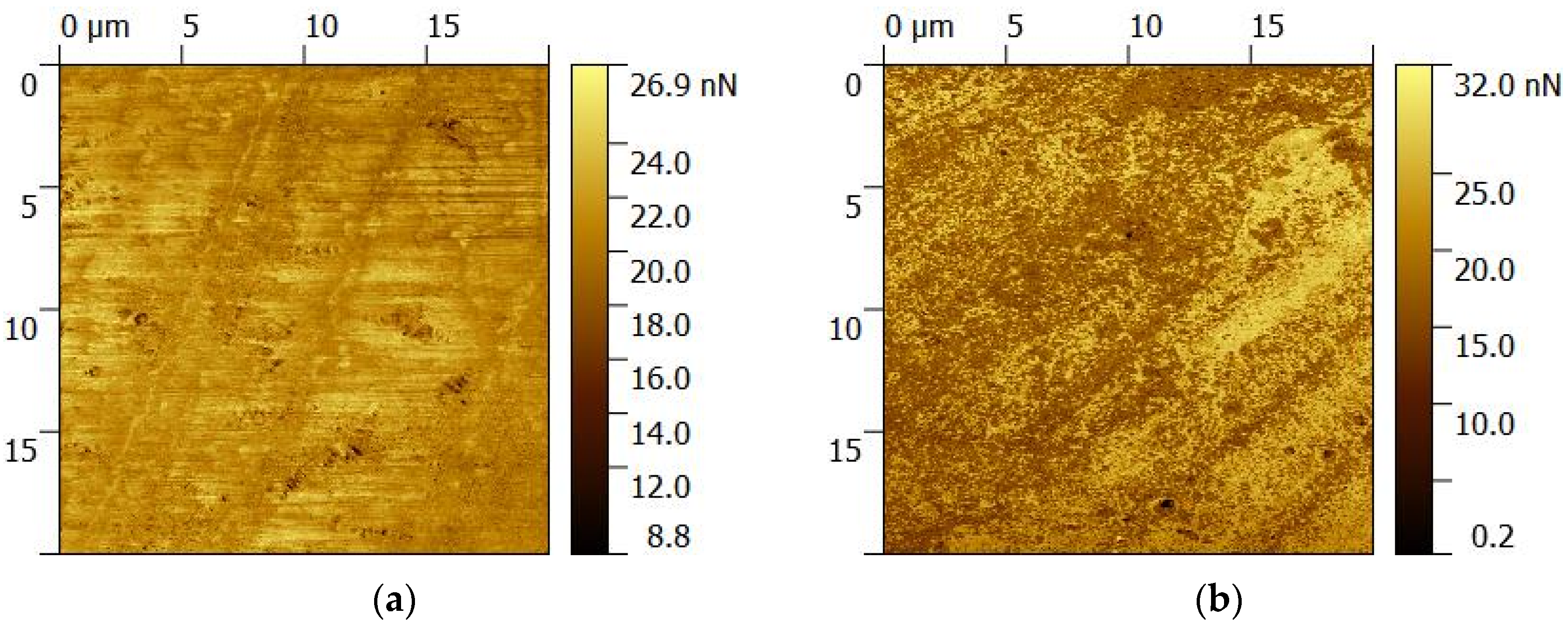 Coatings 14 00512 g004a Coatings 14 00512 g004a