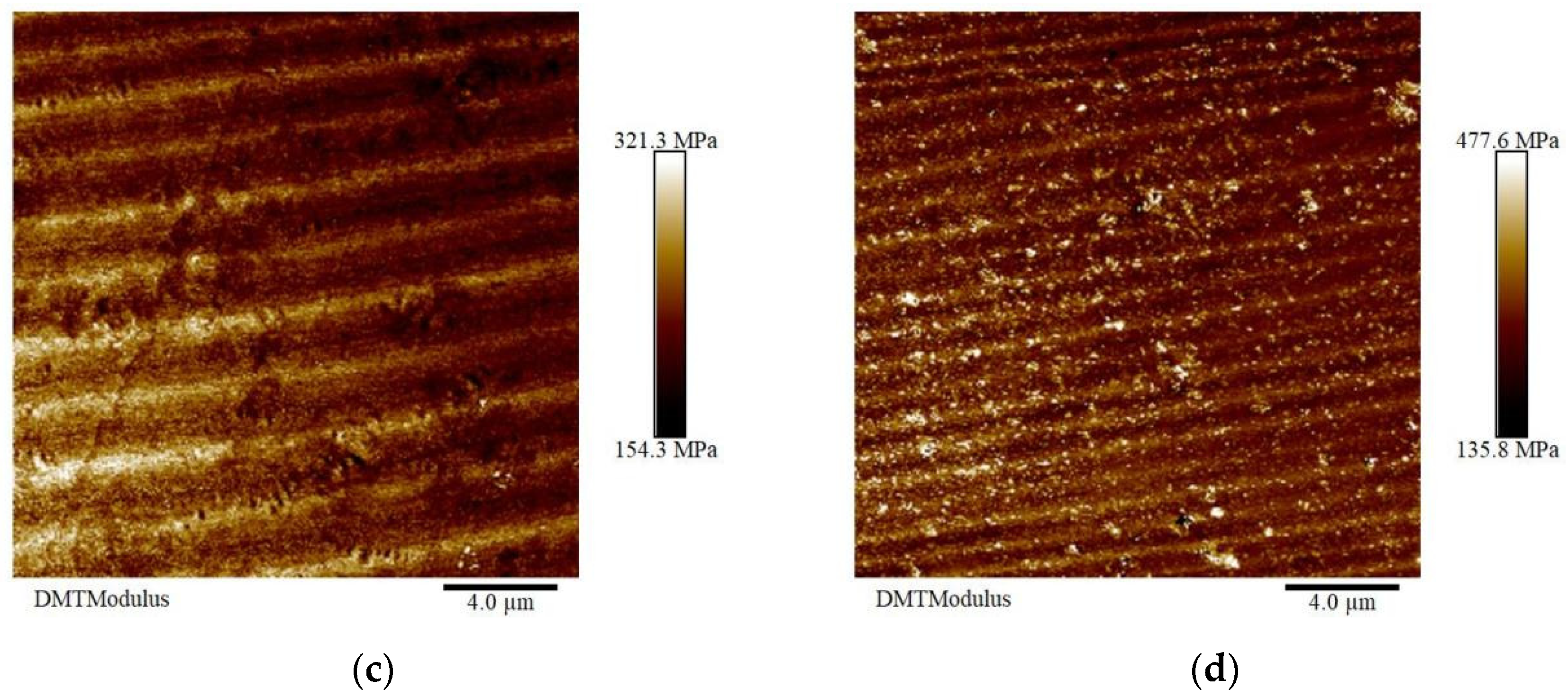 Coatings 14 00512 g004b Coatings 14 00512 g004b