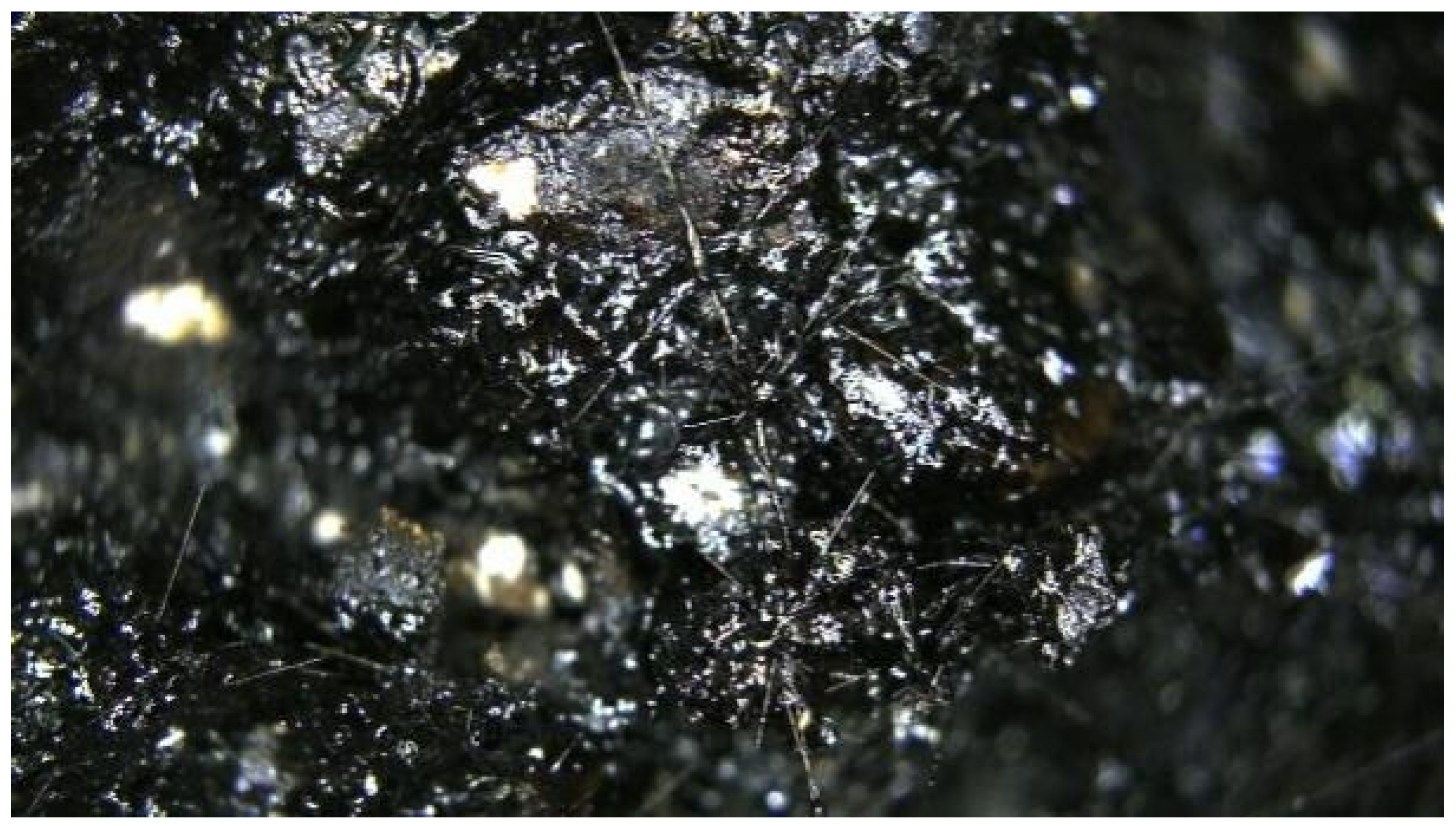 Coatings 14 00512 g008 Coatings 14 00512 g008