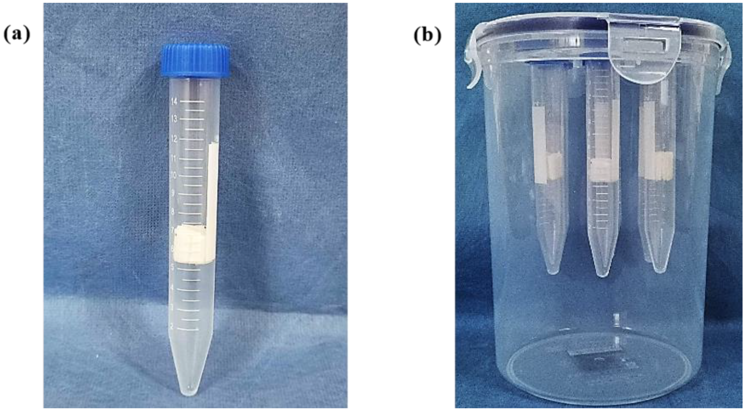 Coatings 14 00520 g001