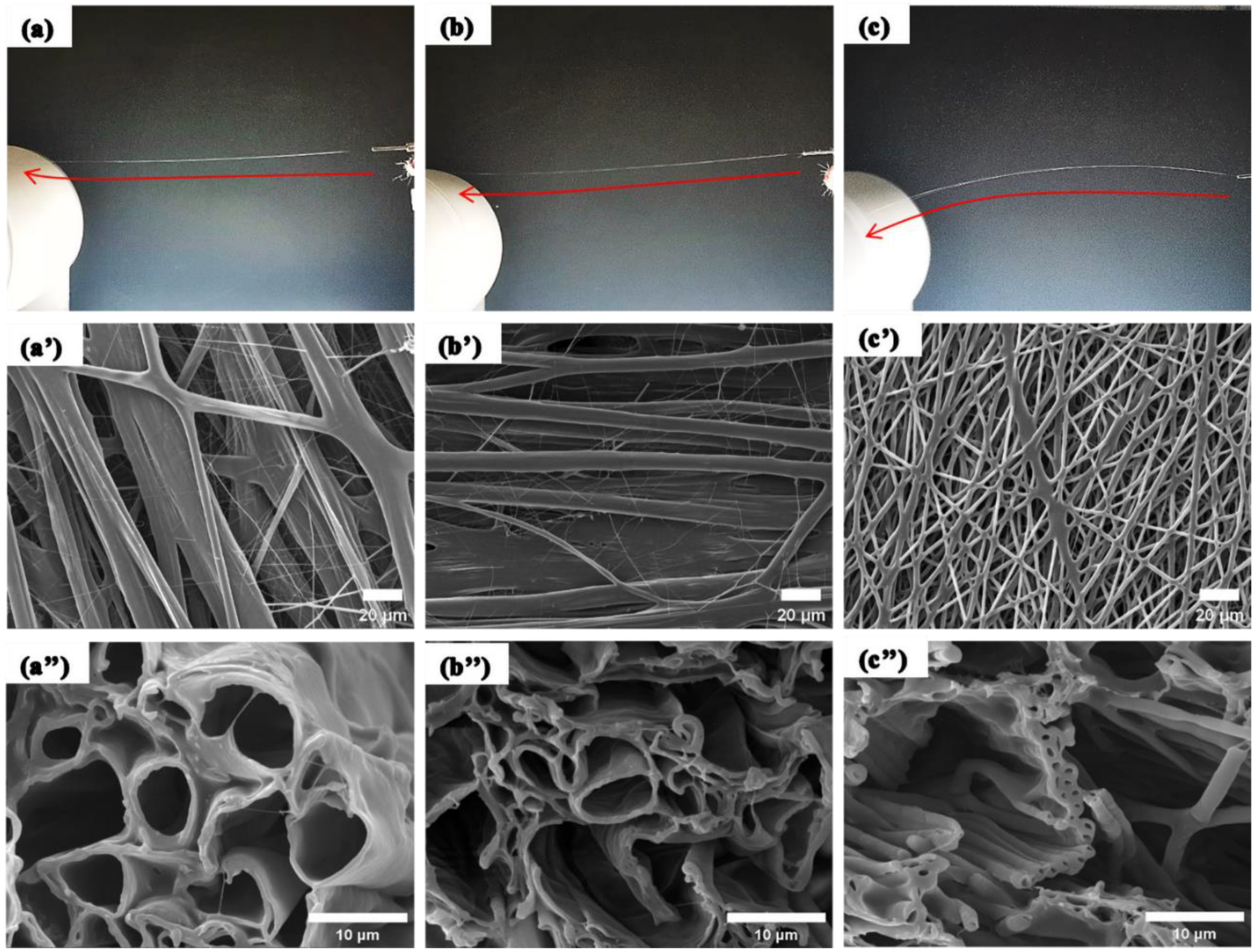 Coatings 14 00520 g004