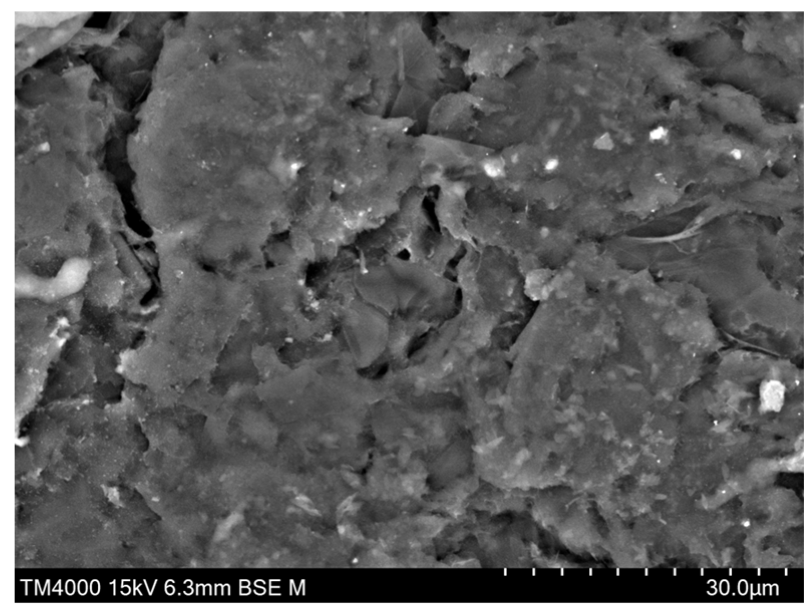 Coatings 14 00524 g001