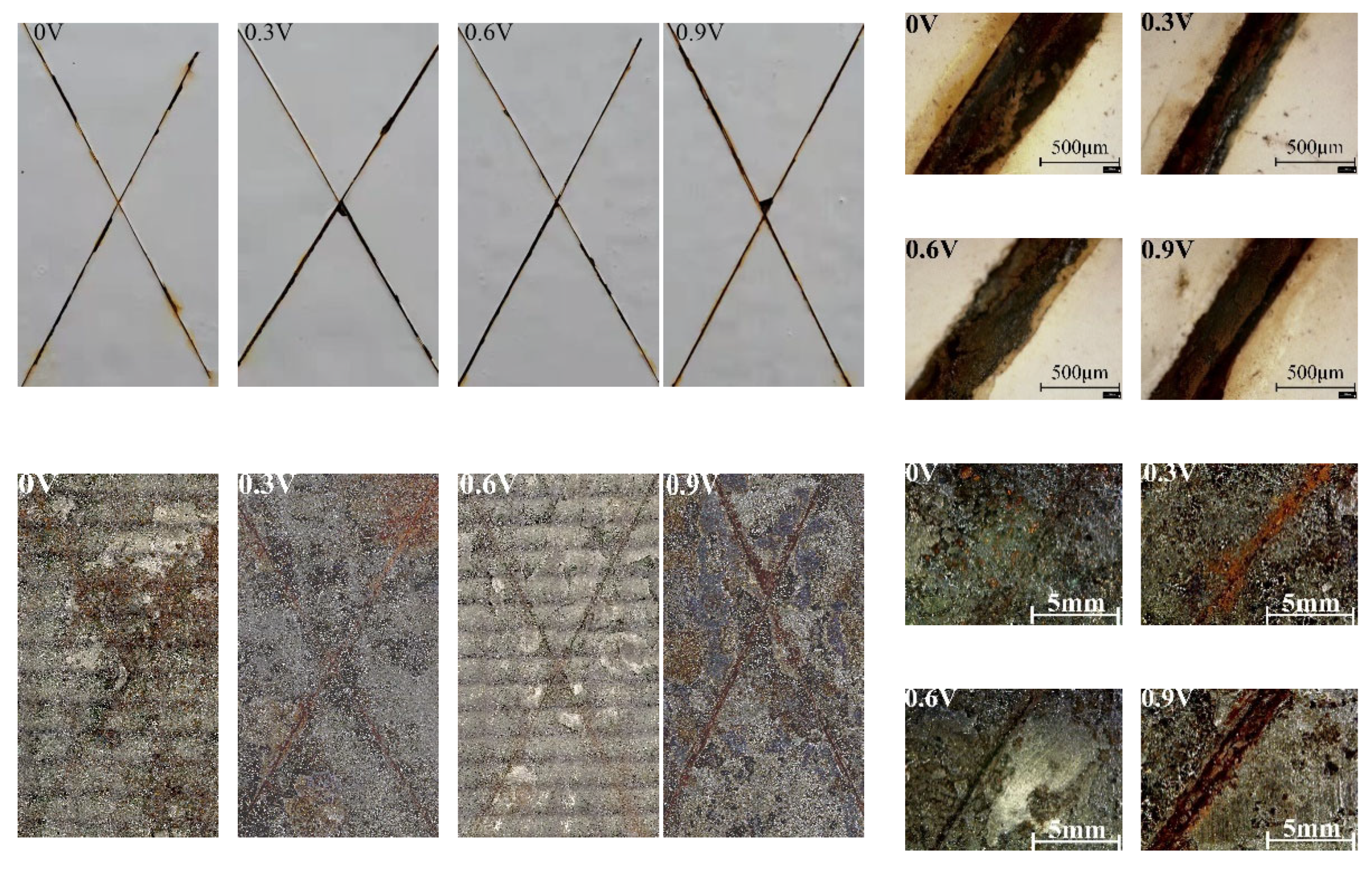 Coatings 14 00524 g005