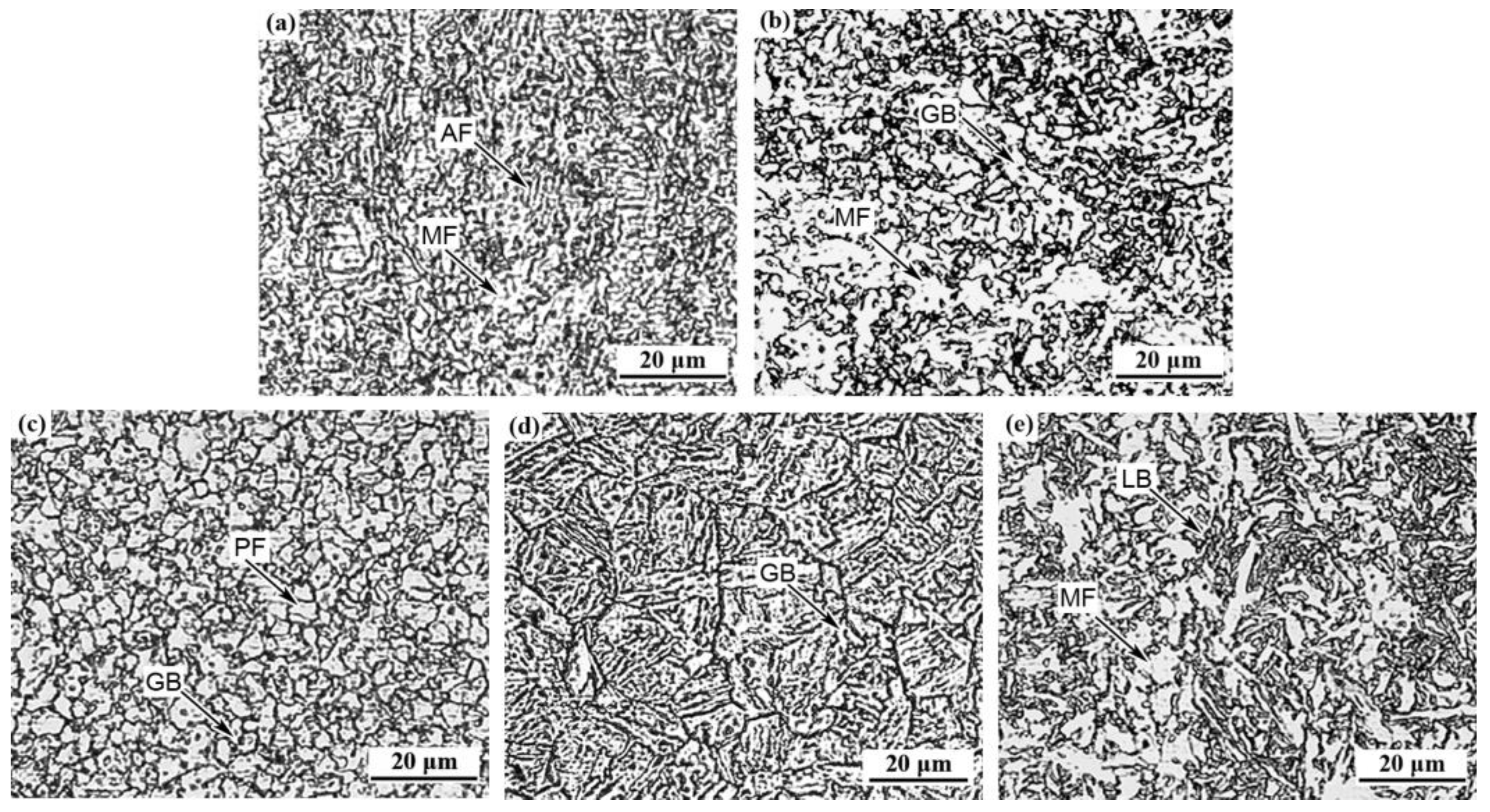 Coatings 14 00528 g002