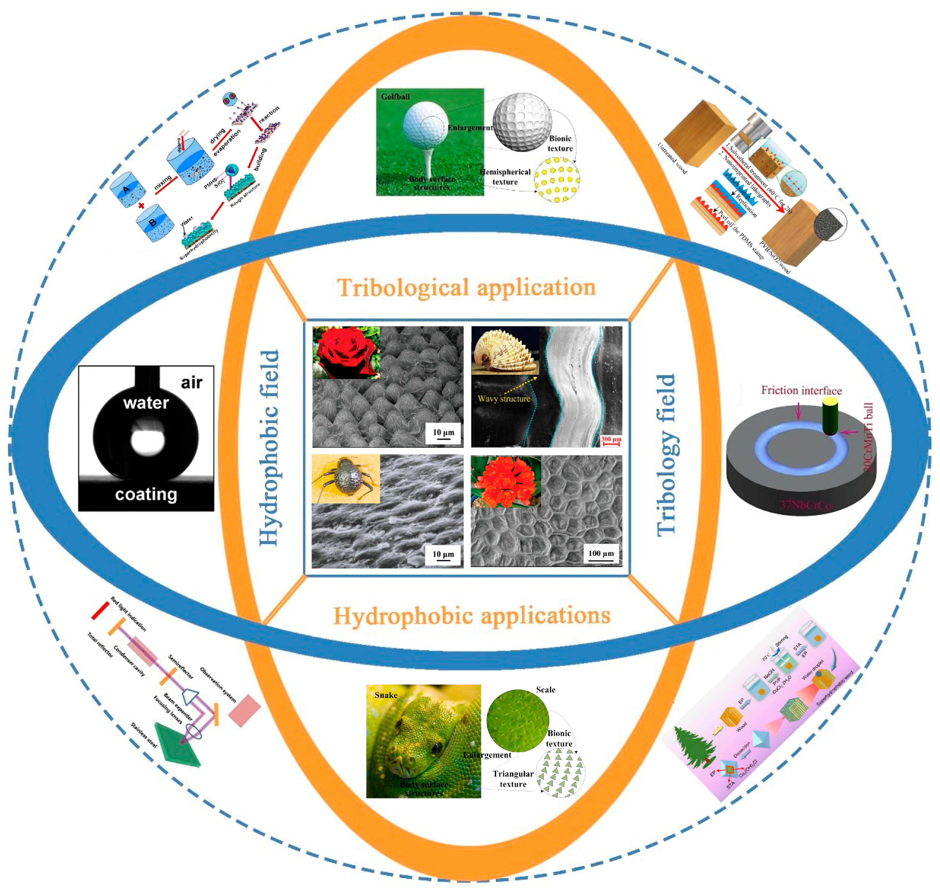 Coatings 14 00529 g001