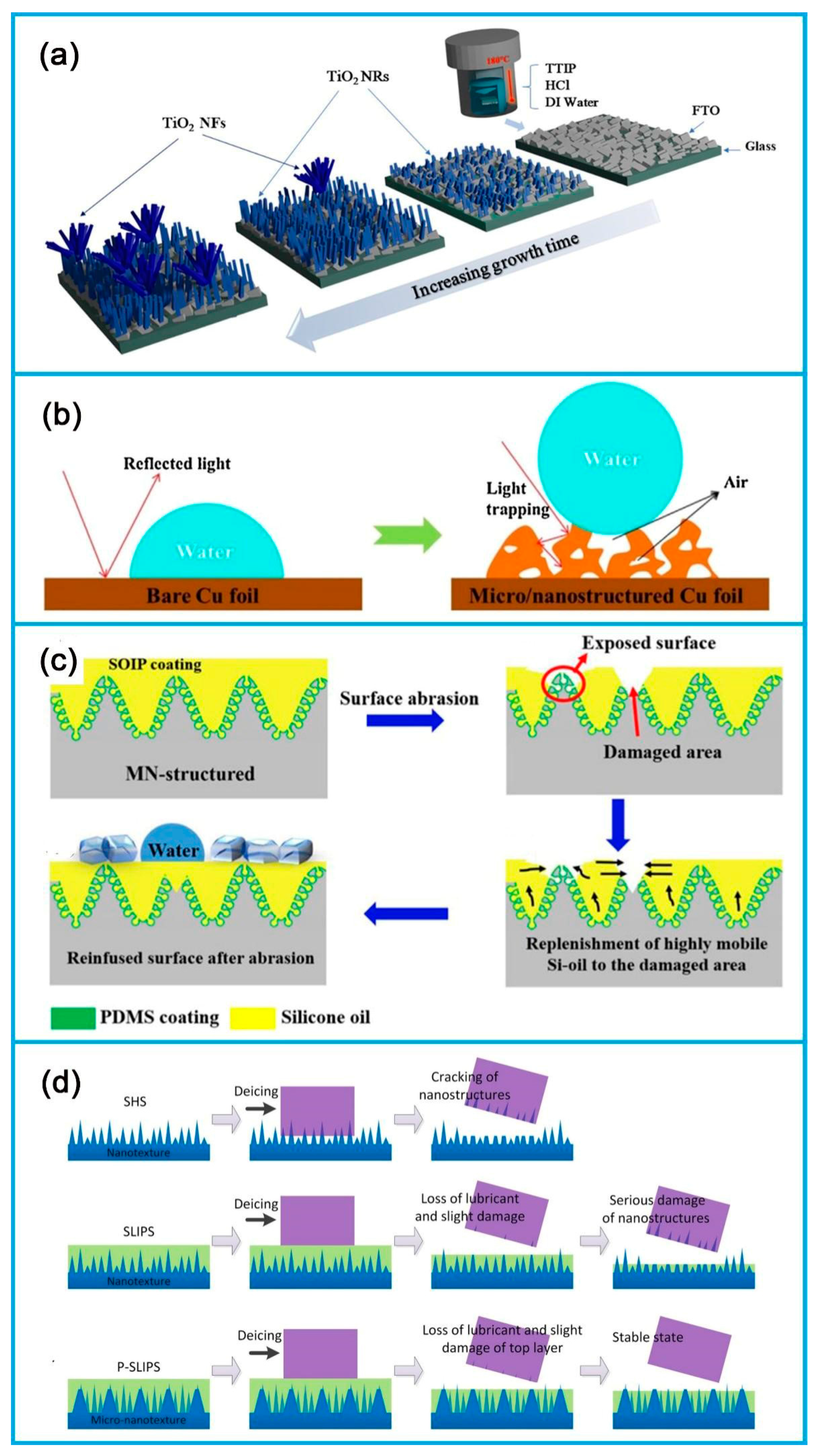 Coatings 14 00529 g004