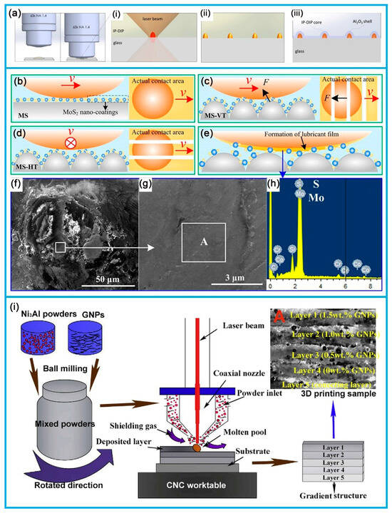 Coatings 14 00529 g006