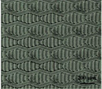 Coatings 14 00529 i017 Coatings 14 00529 i017