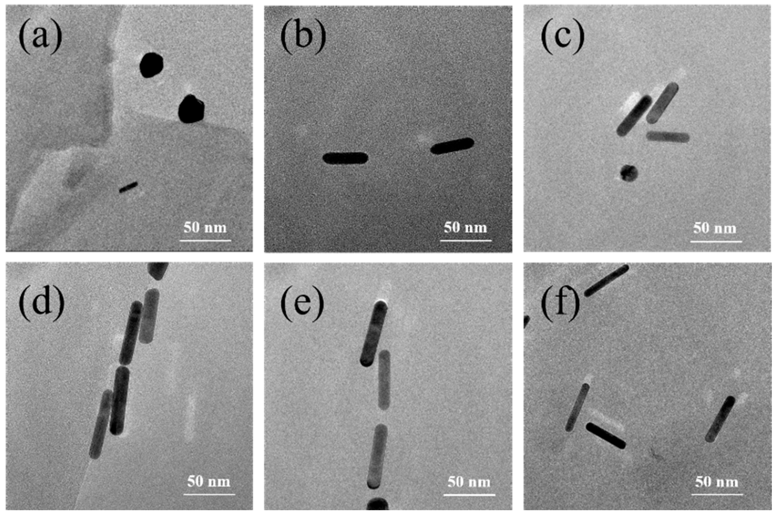 Coatings 14 00530 g001