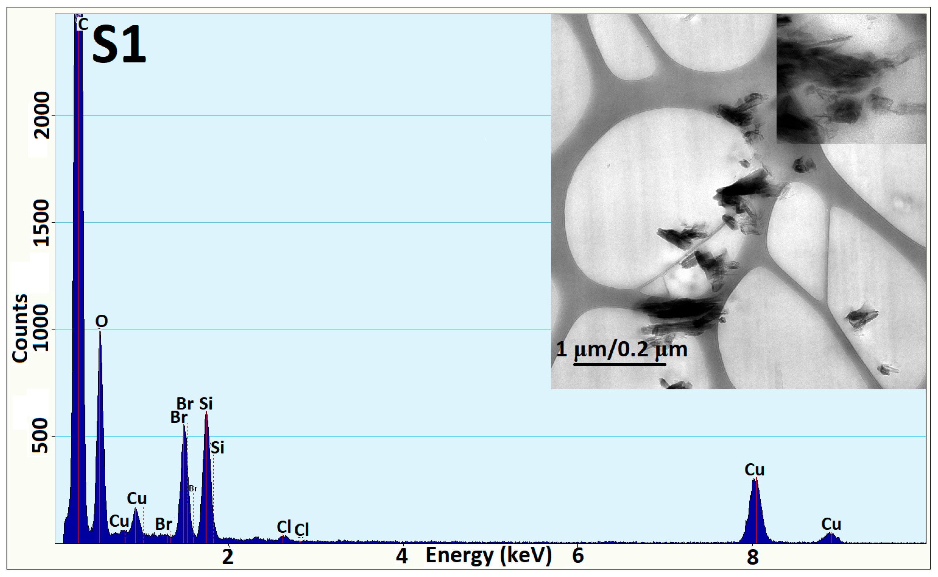Coatings 14 00532 g006a Coatings 14 00532 g006a