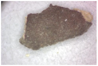 Coatings 14 00540 i002