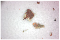 Coatings 14 00540 i004