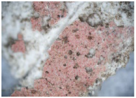 Coatings 14 00540 i006