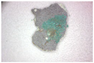 Coatings 14 00540 i008