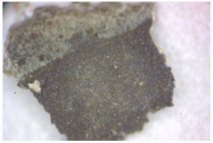 Coatings 14 00540 i010