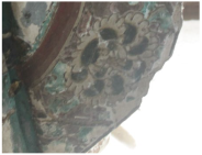 Coatings 14 00540 i011