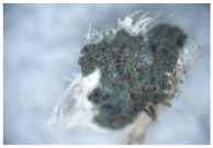 Coatings 14 00540 i012