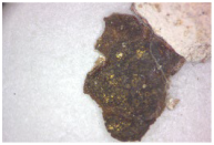 Coatings 14 00540 i016