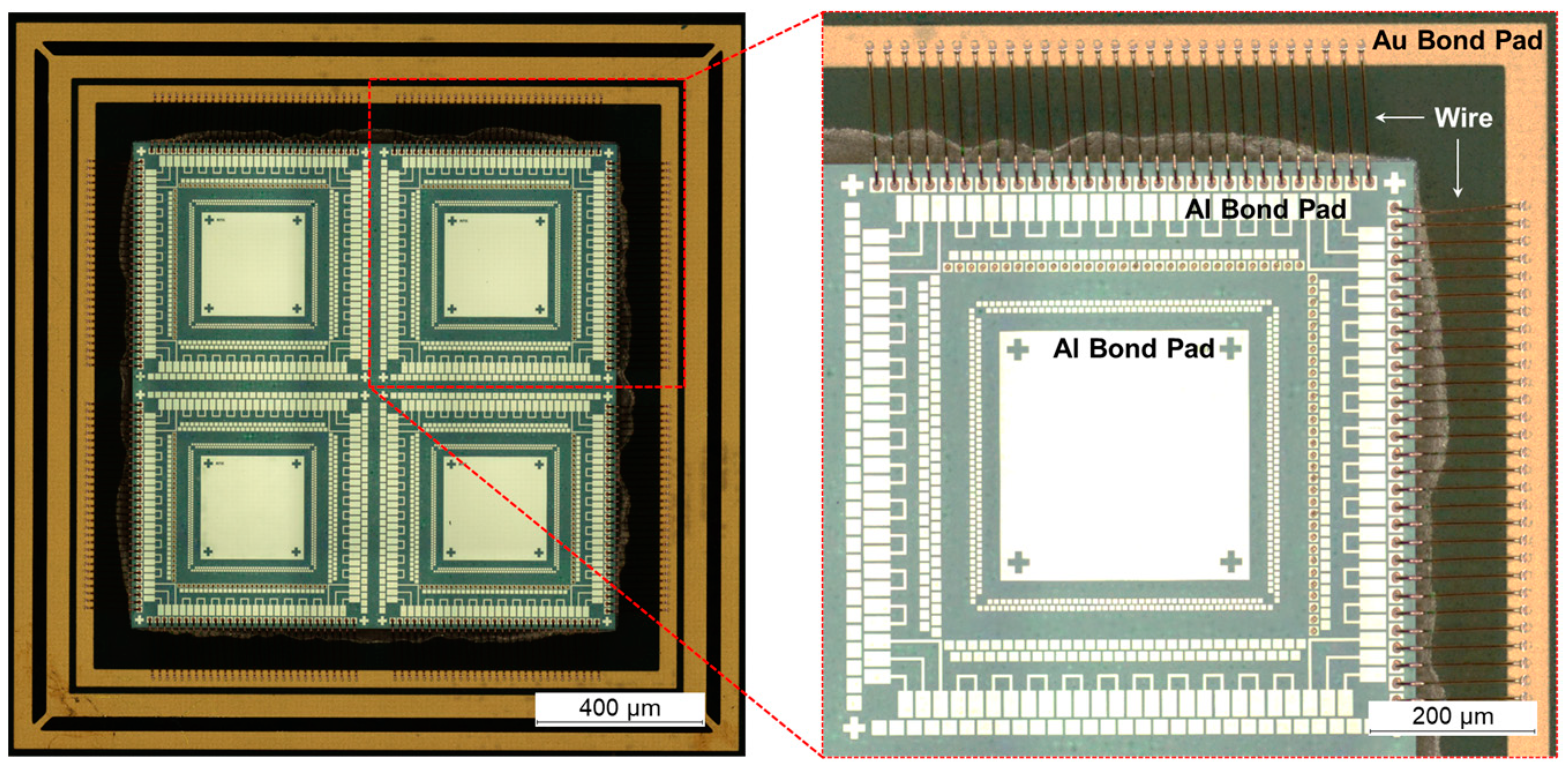 Coatings 14 00544 g001