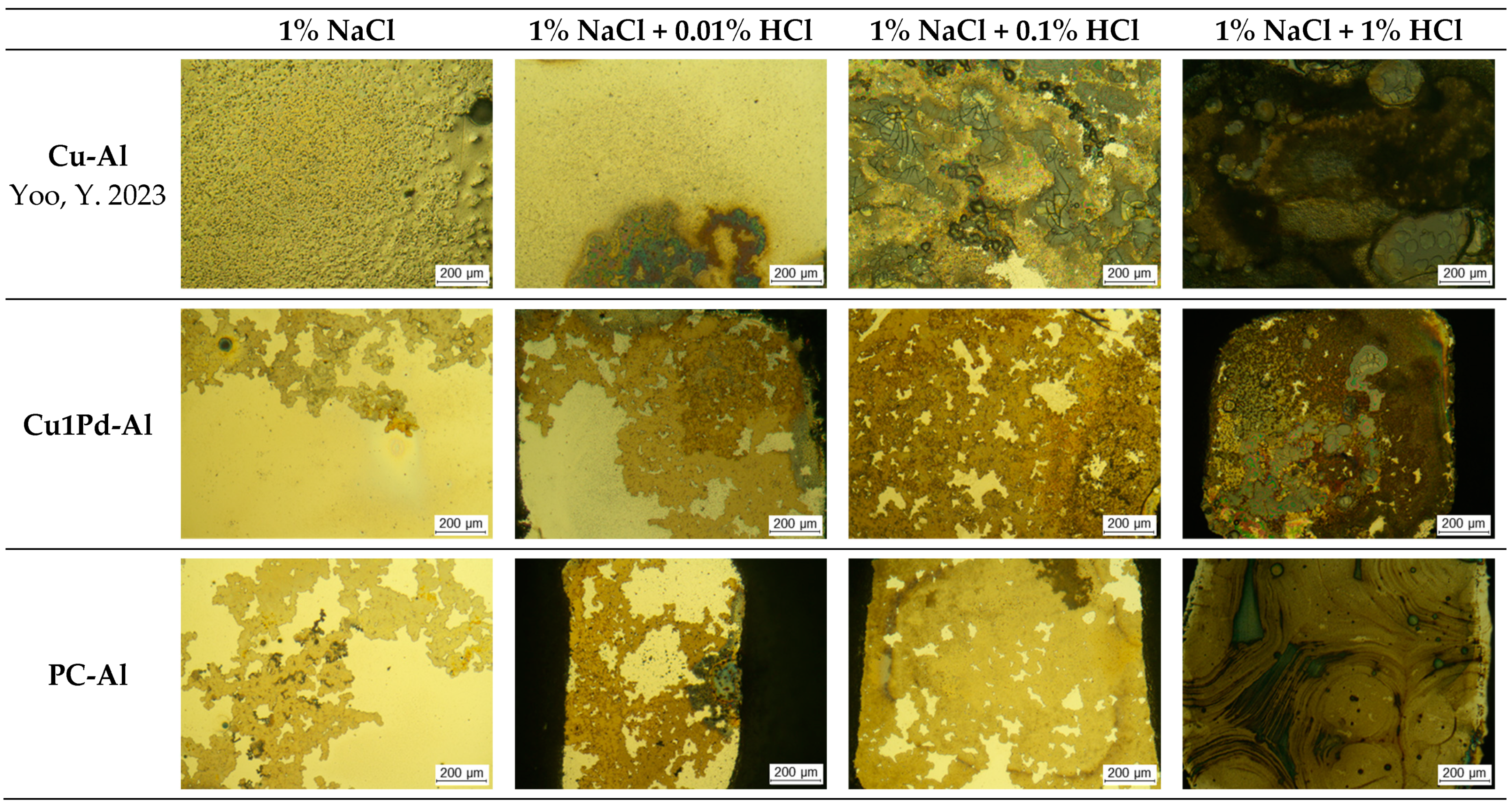 Coatings 14 00544 g005