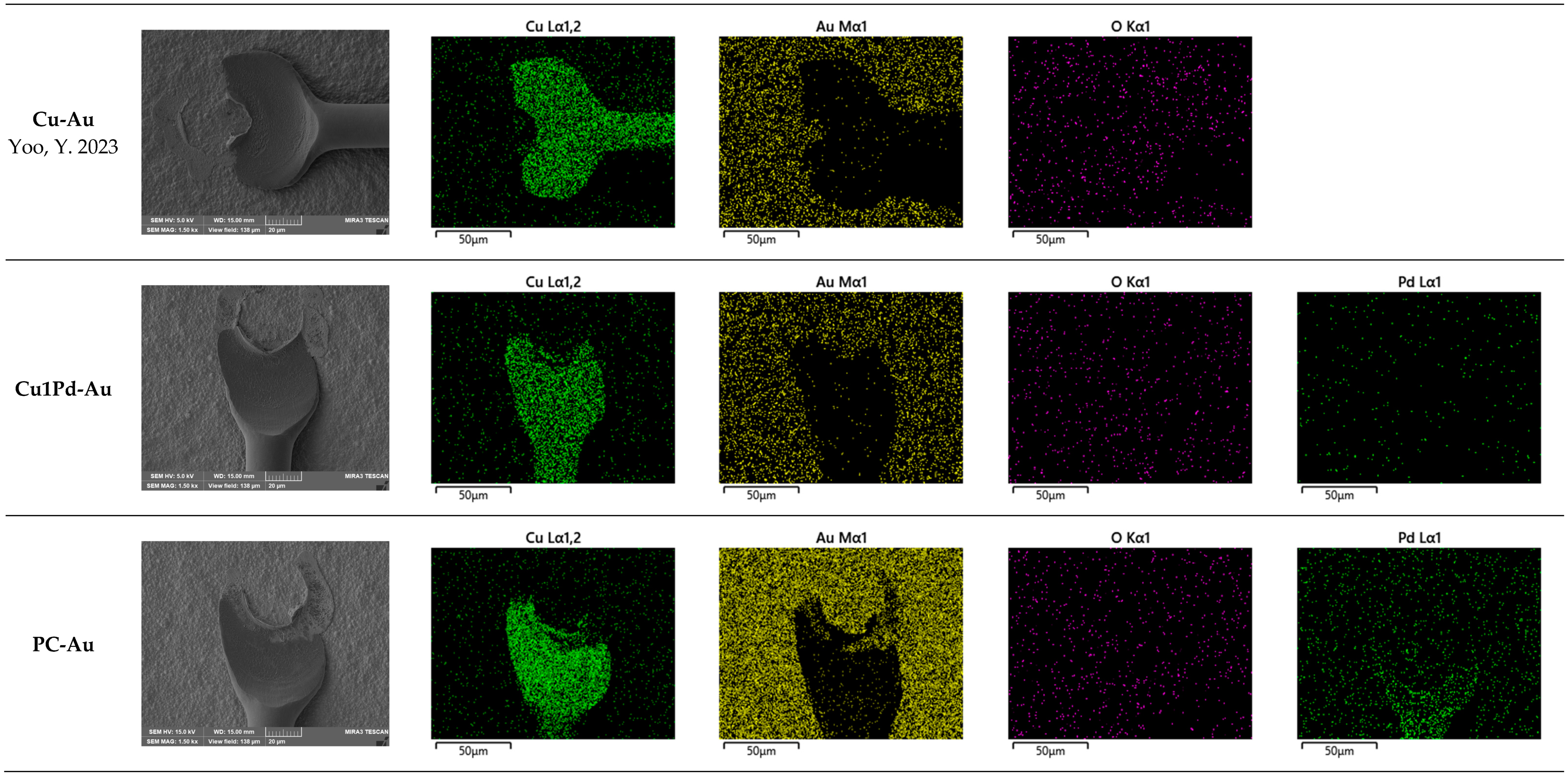 Coatings 14 00544 g012