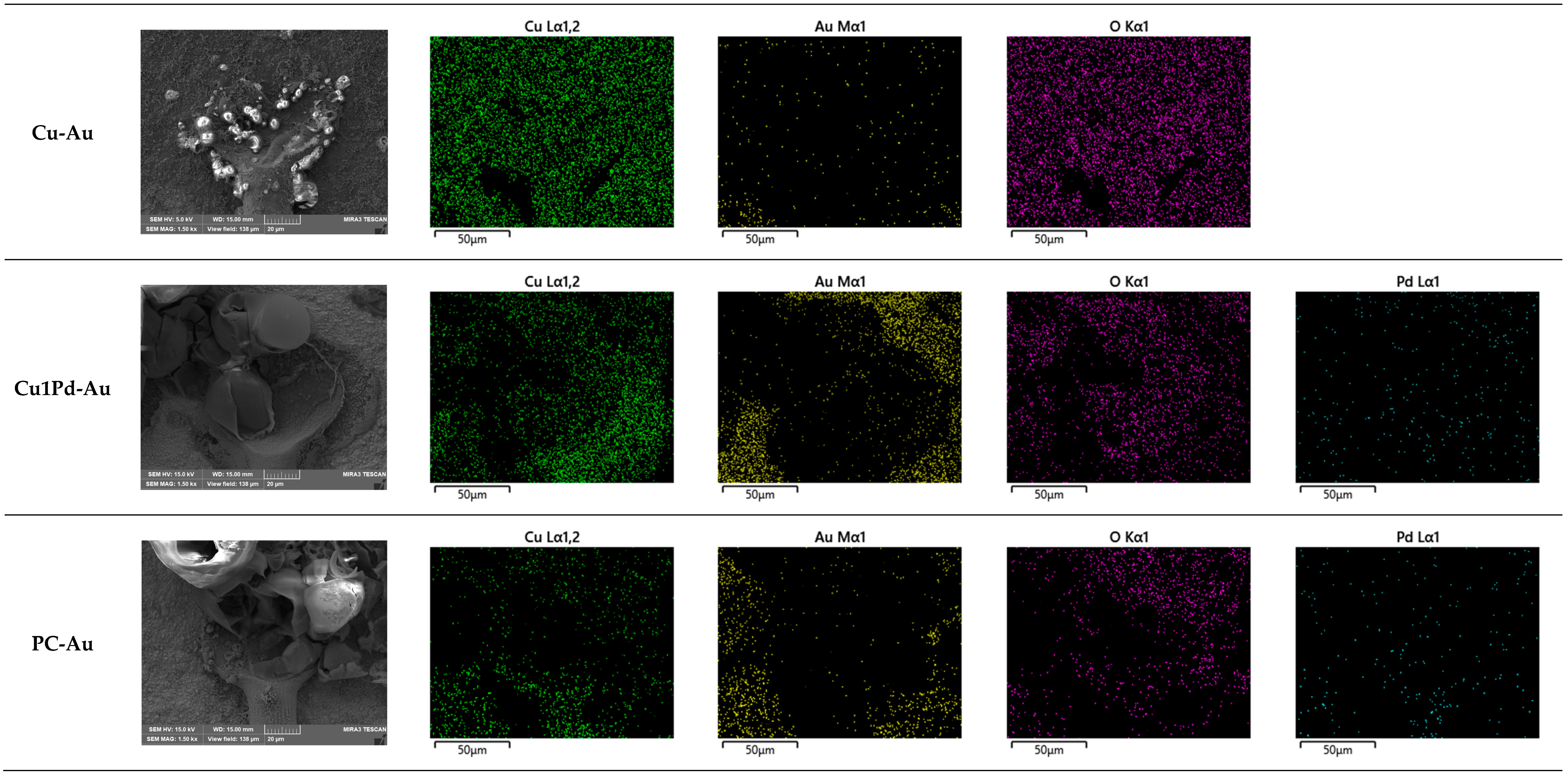 Coatings 14 00544 g014