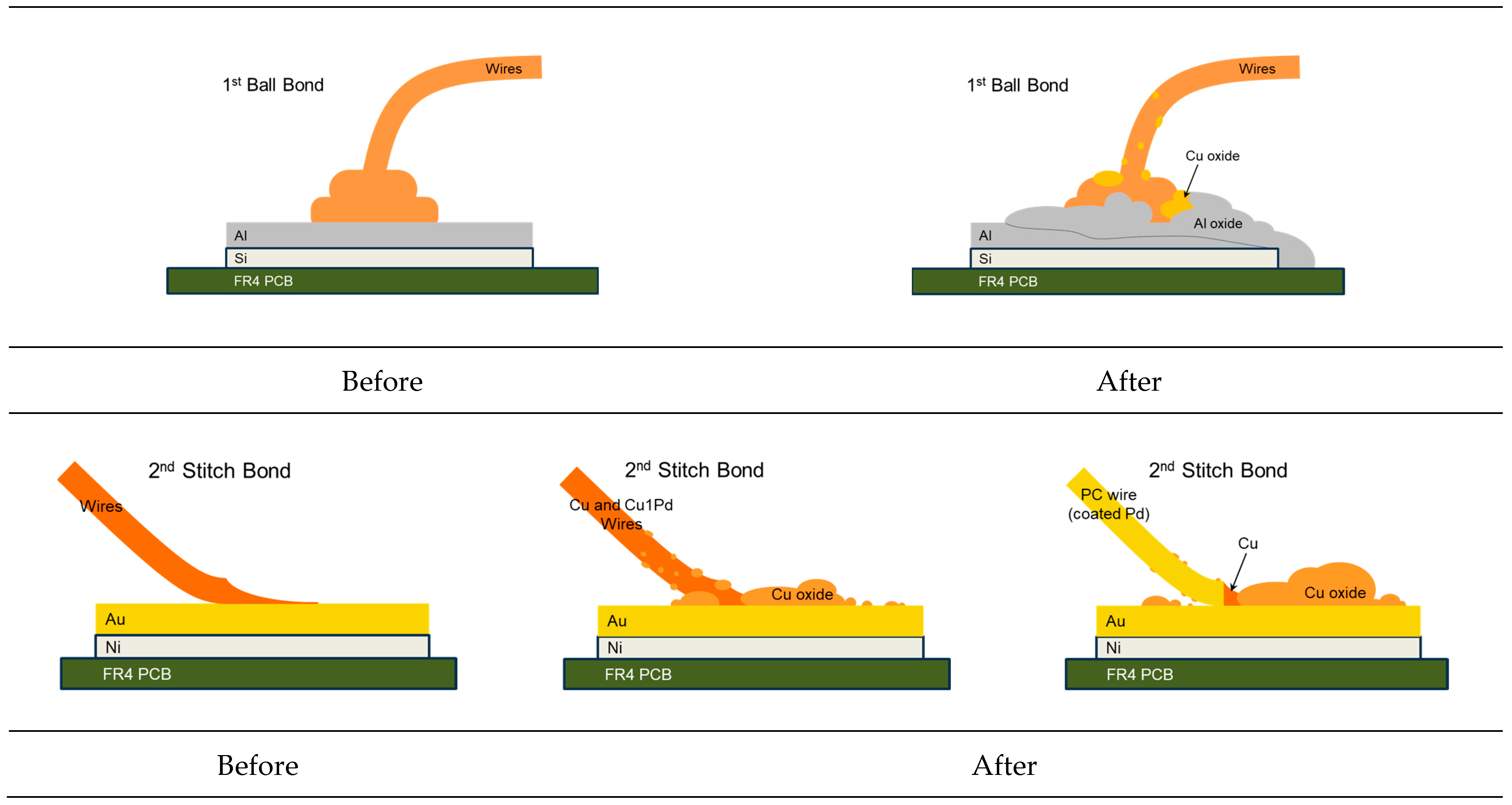 Coatings 14 00544 g017