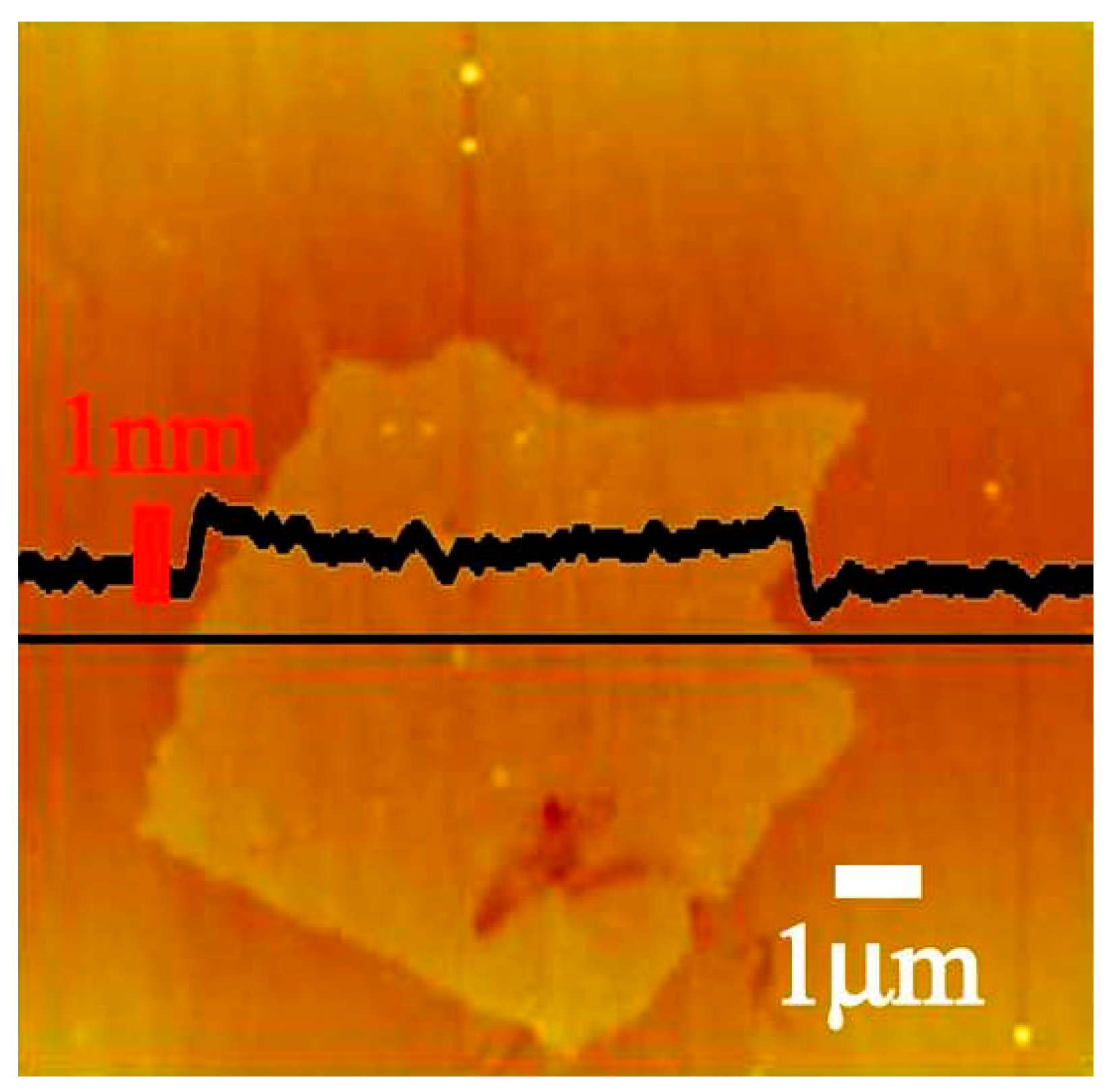 Coatings 14 00545 g001