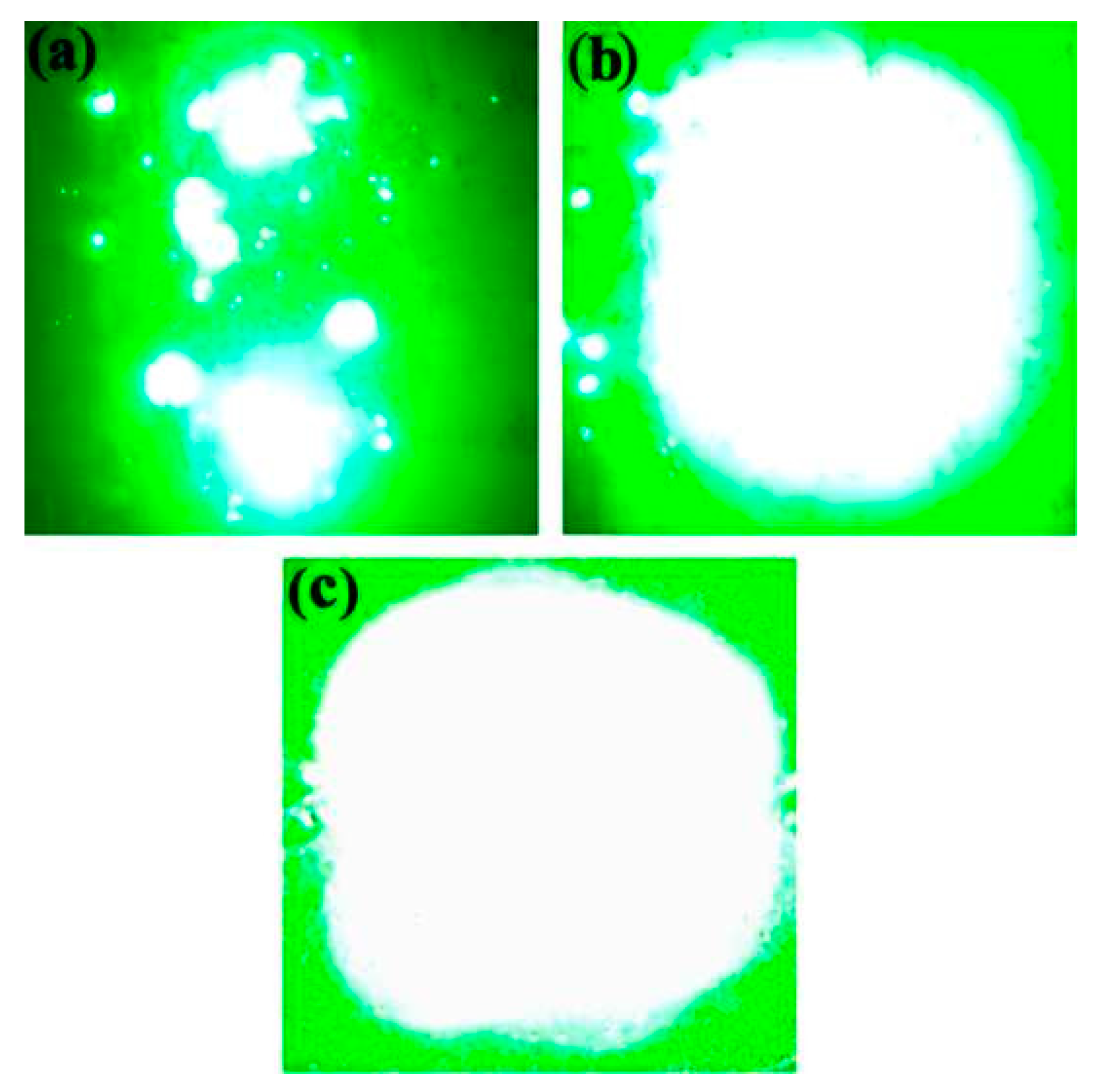 Coatings 14 00545 g009