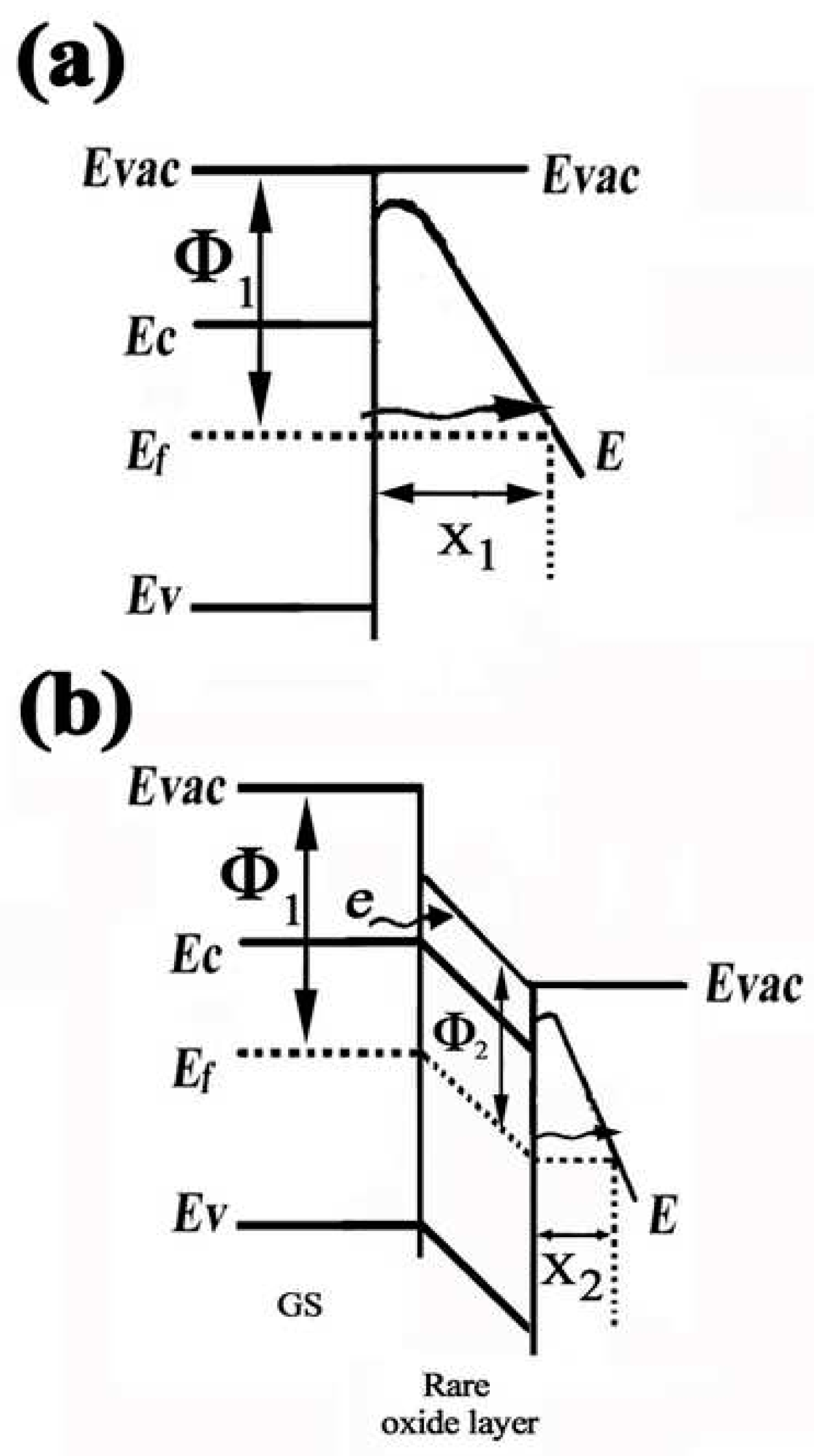 Coatings 14 00545 g011