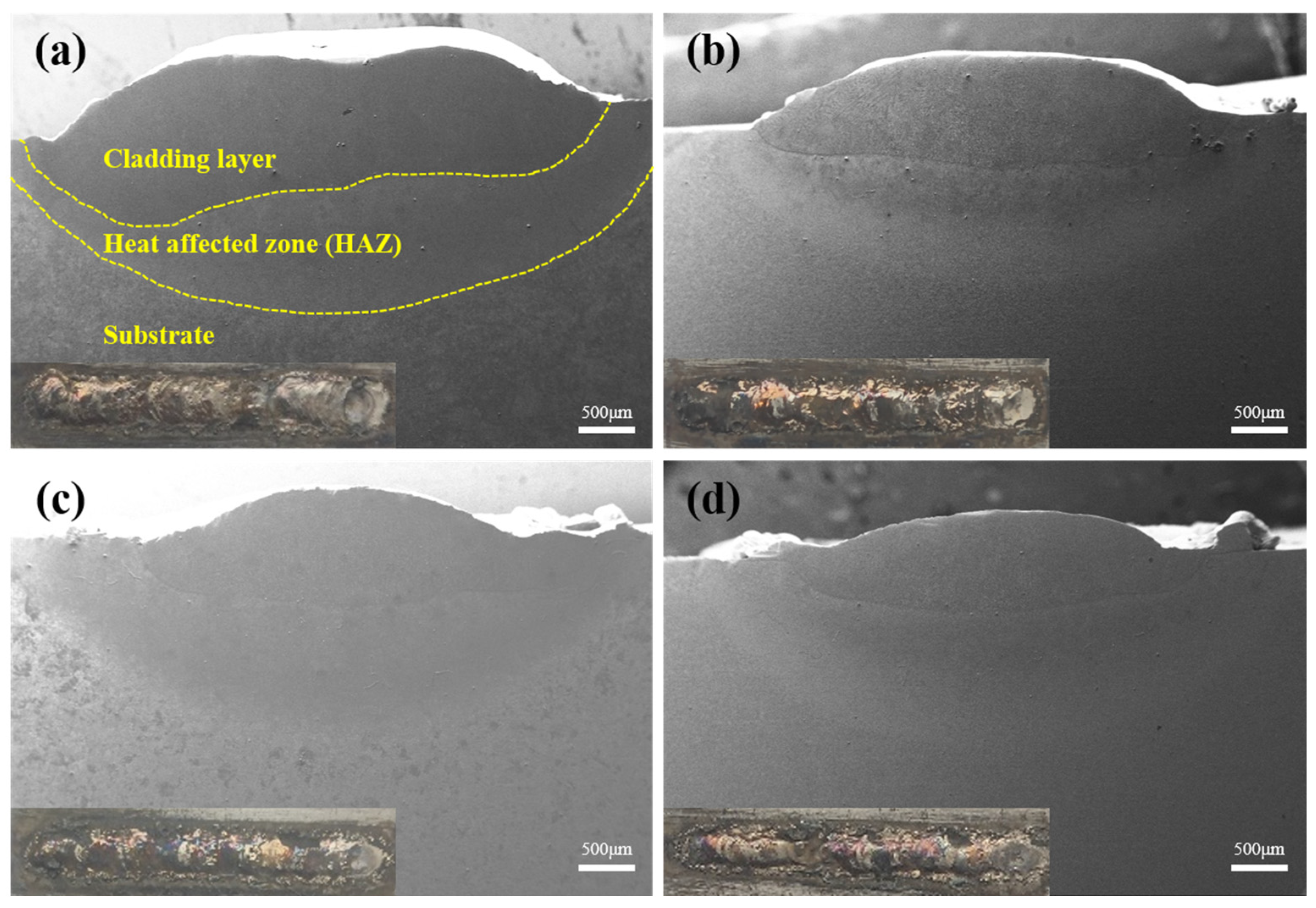 Coatings 14 00550 g004