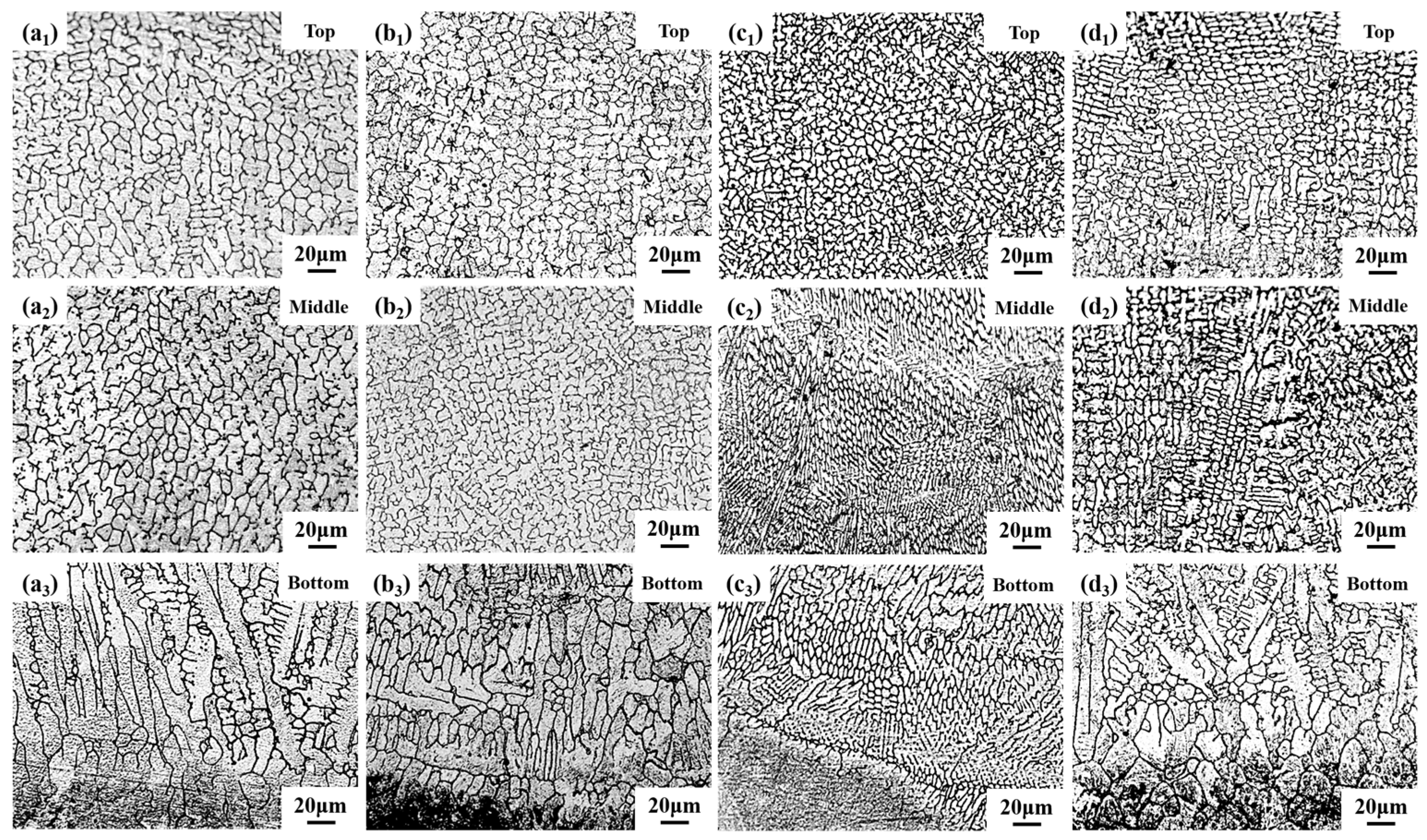 Coatings 14 00550 g005