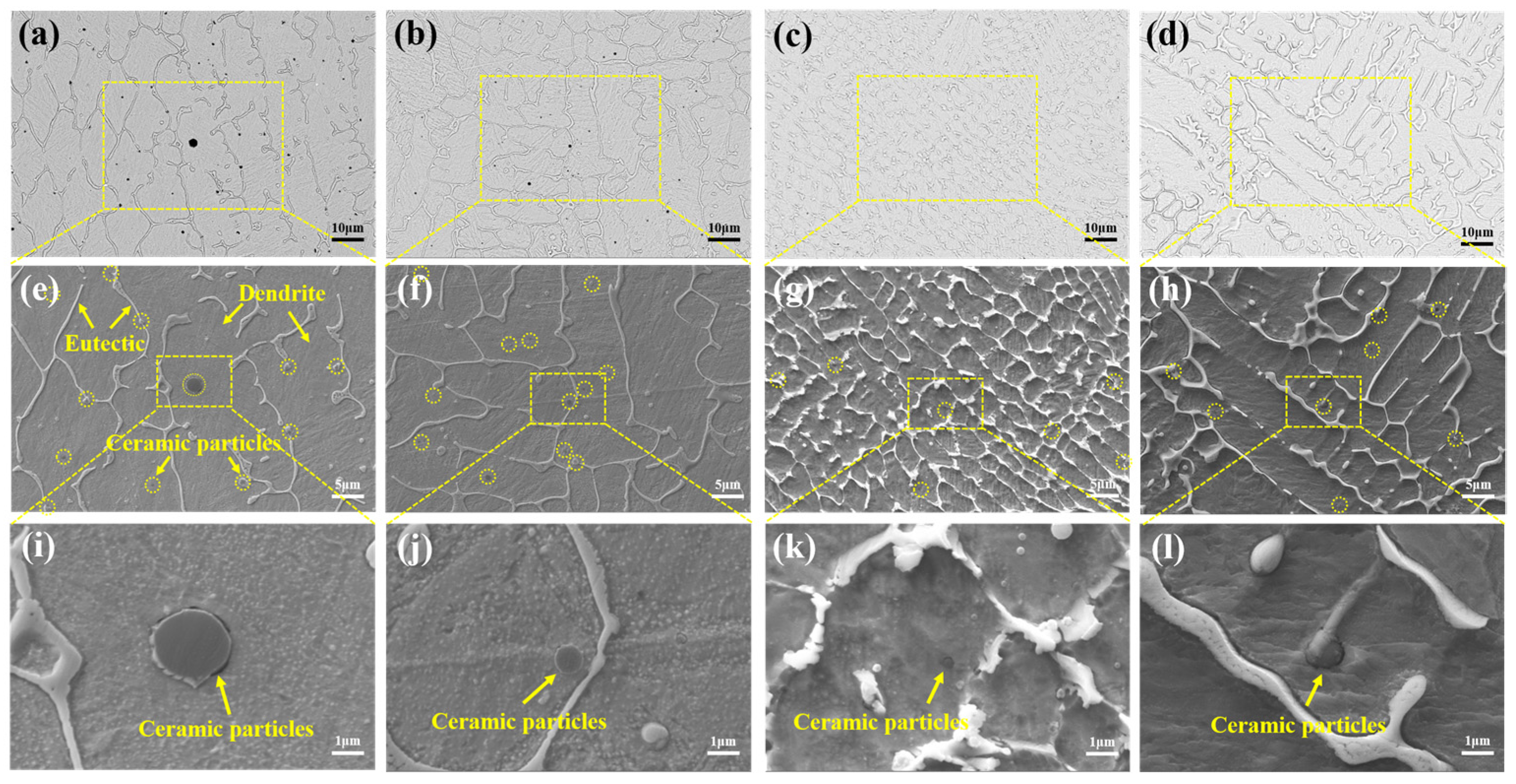 Coatings 14 00550 g006