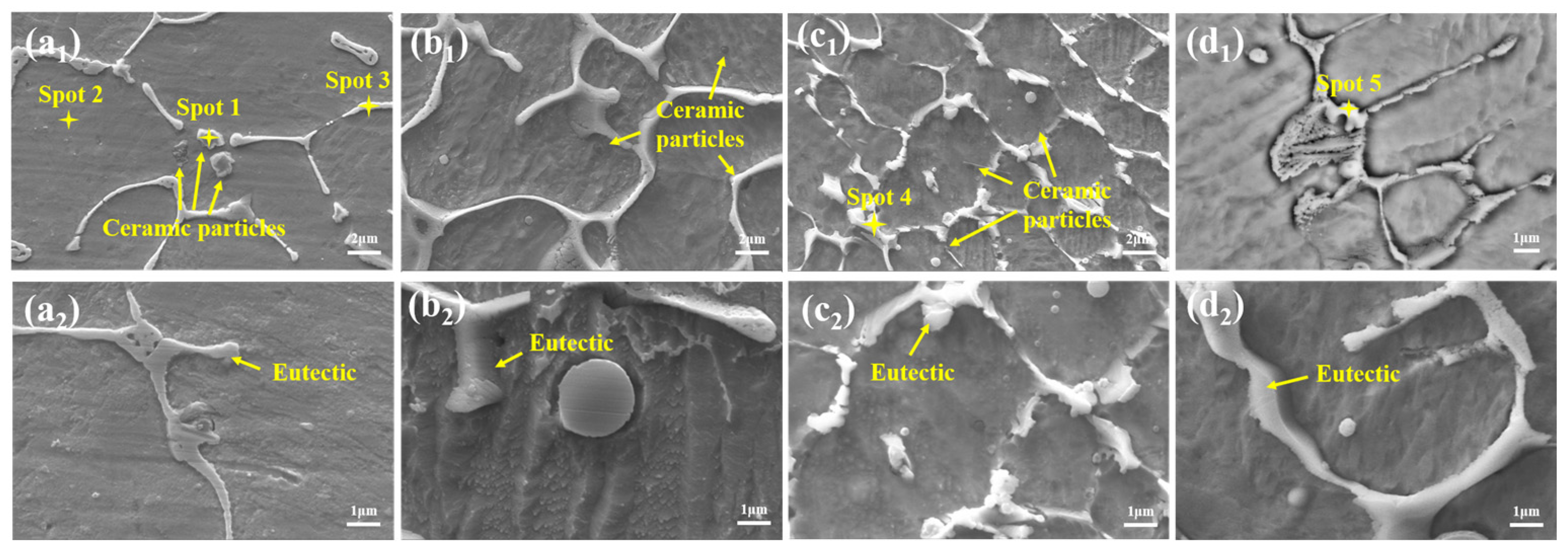Coatings 14 00550 g008