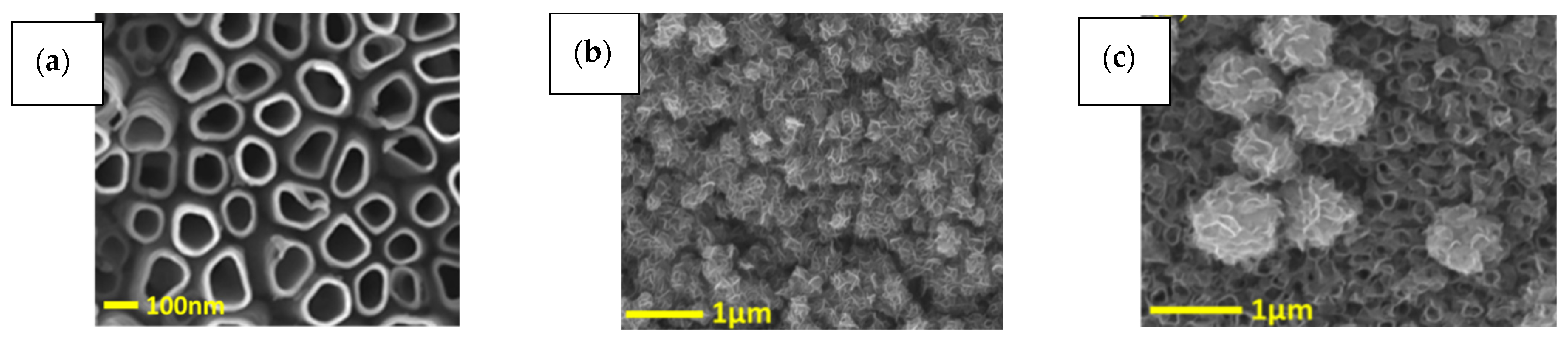 Coatings 14 00552 g003 Coatings 14 00552 g003