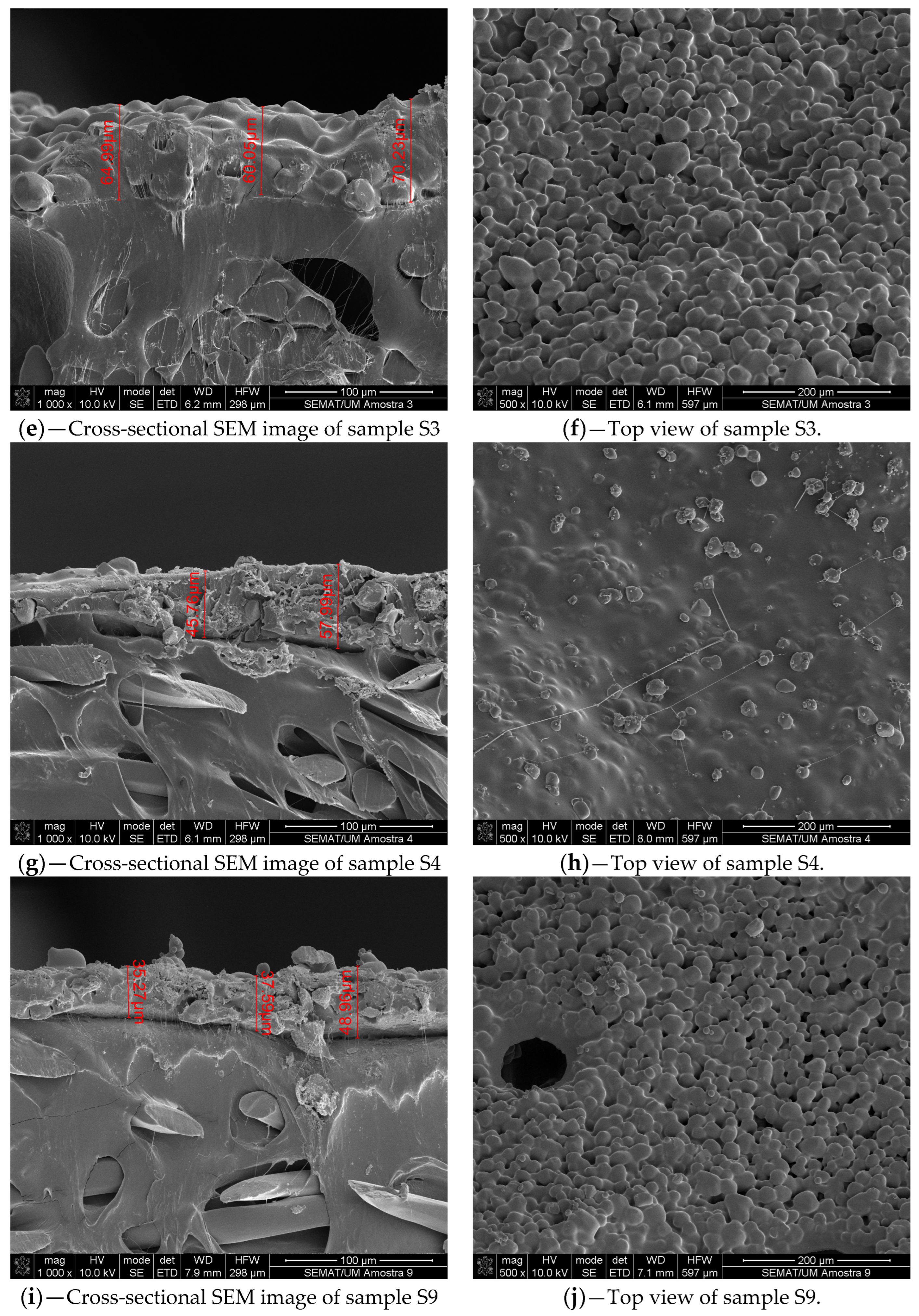 Coatings 14 00554 g005b Coatings 14 00554 g005b