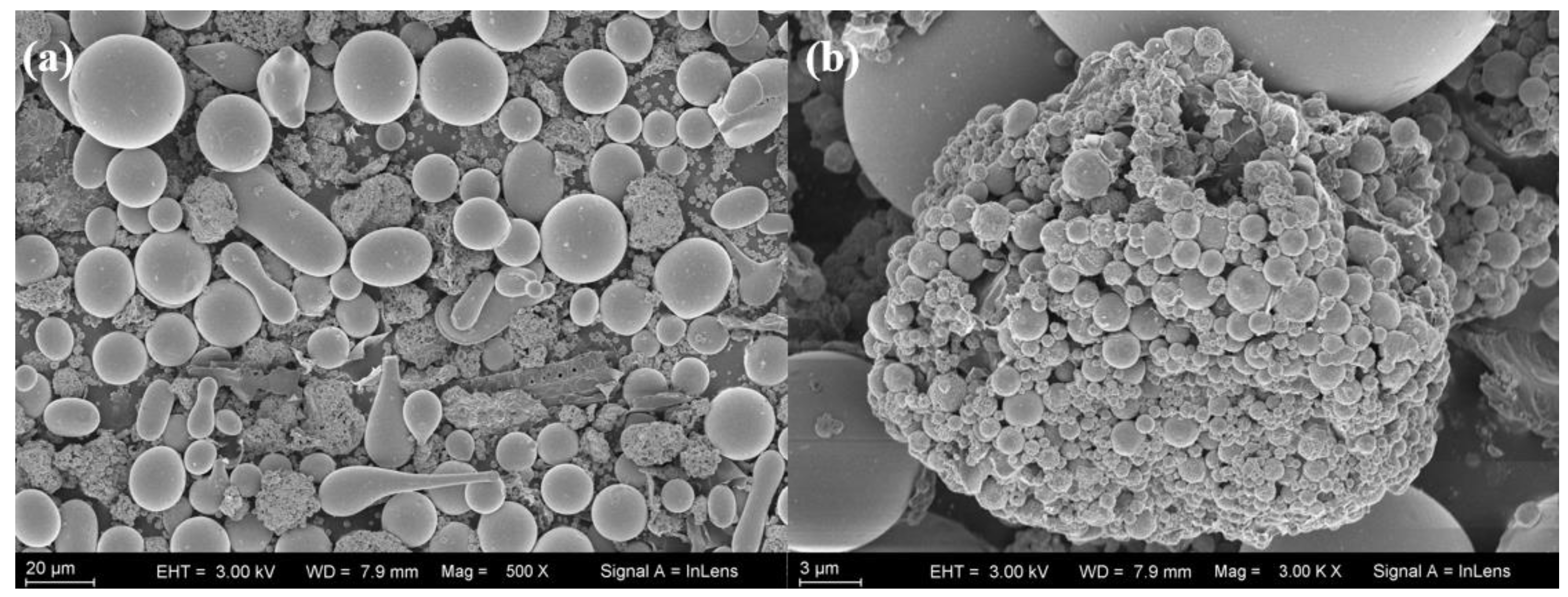Coatings 14 00556 g001