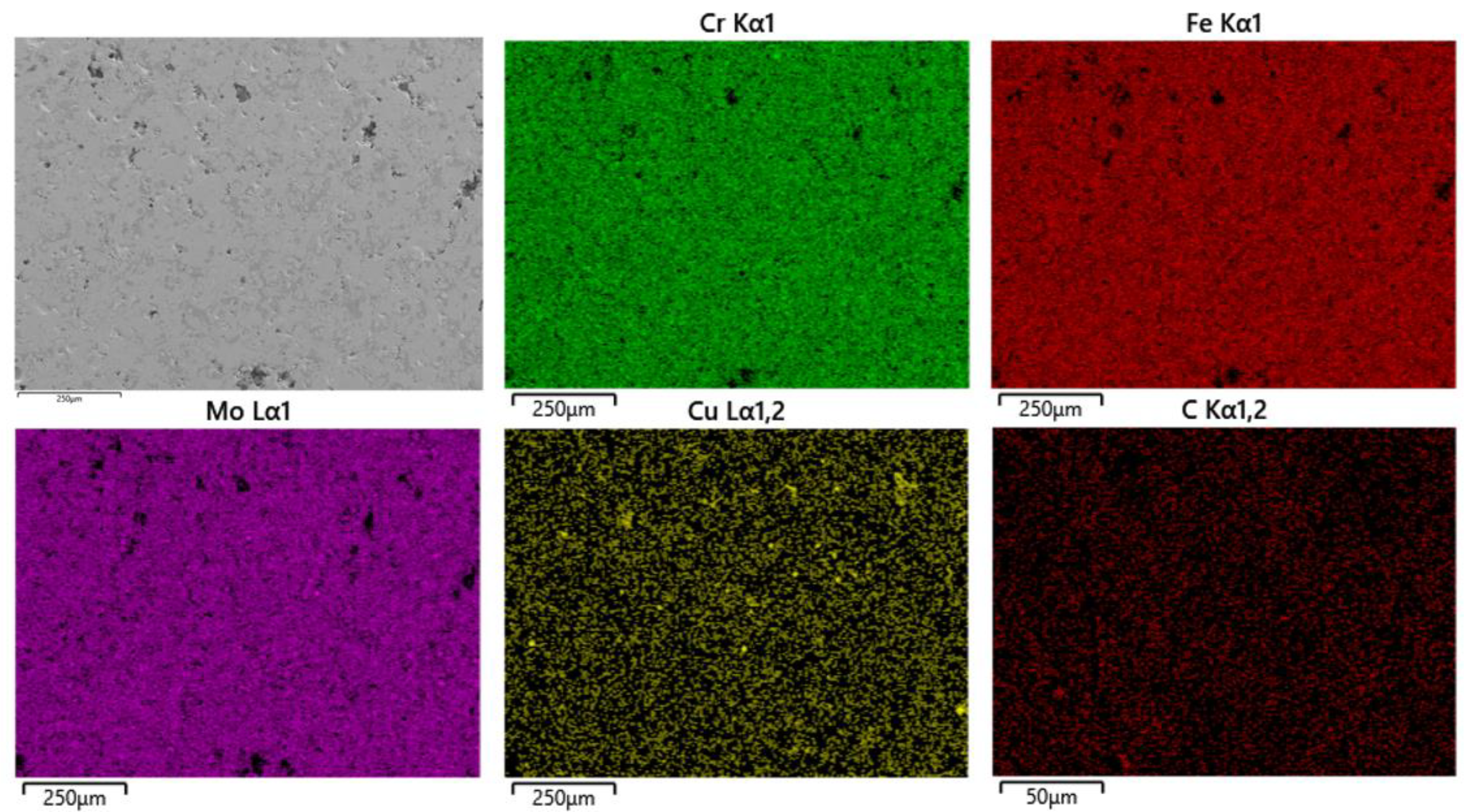 Coatings 14 00556 g005