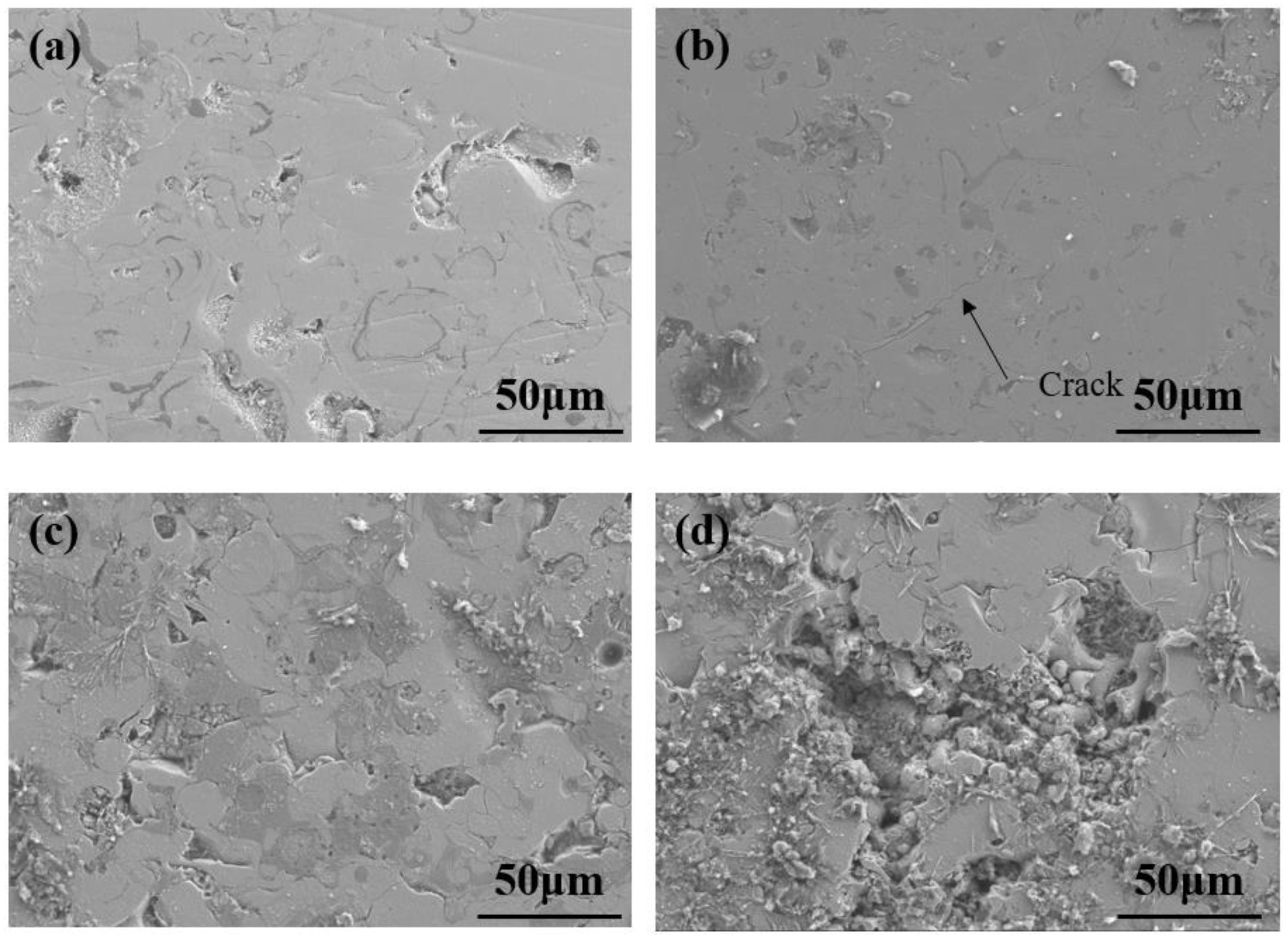 Coatings 14 00556 g010