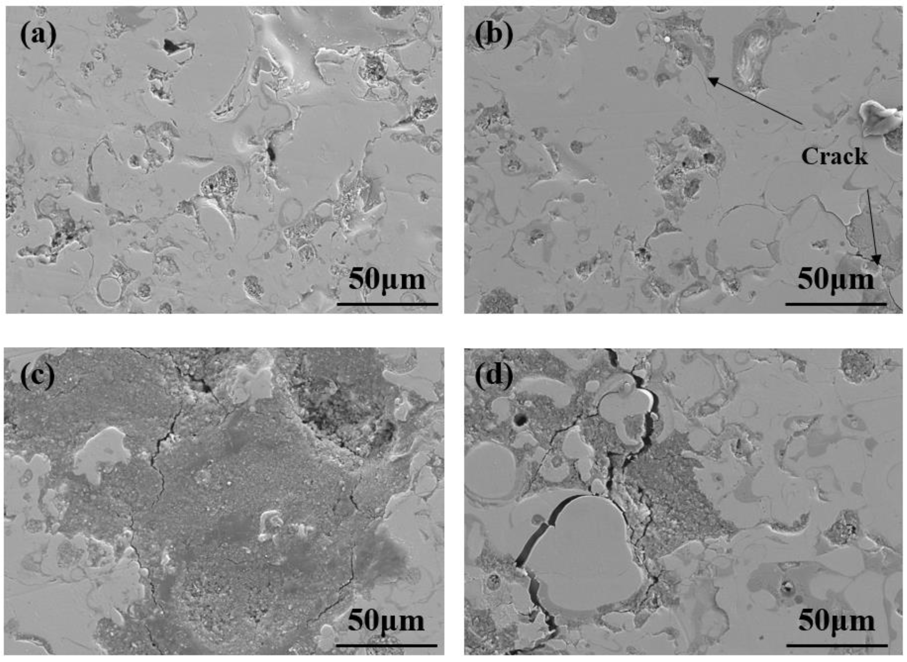 Coatings 14 00556 g011