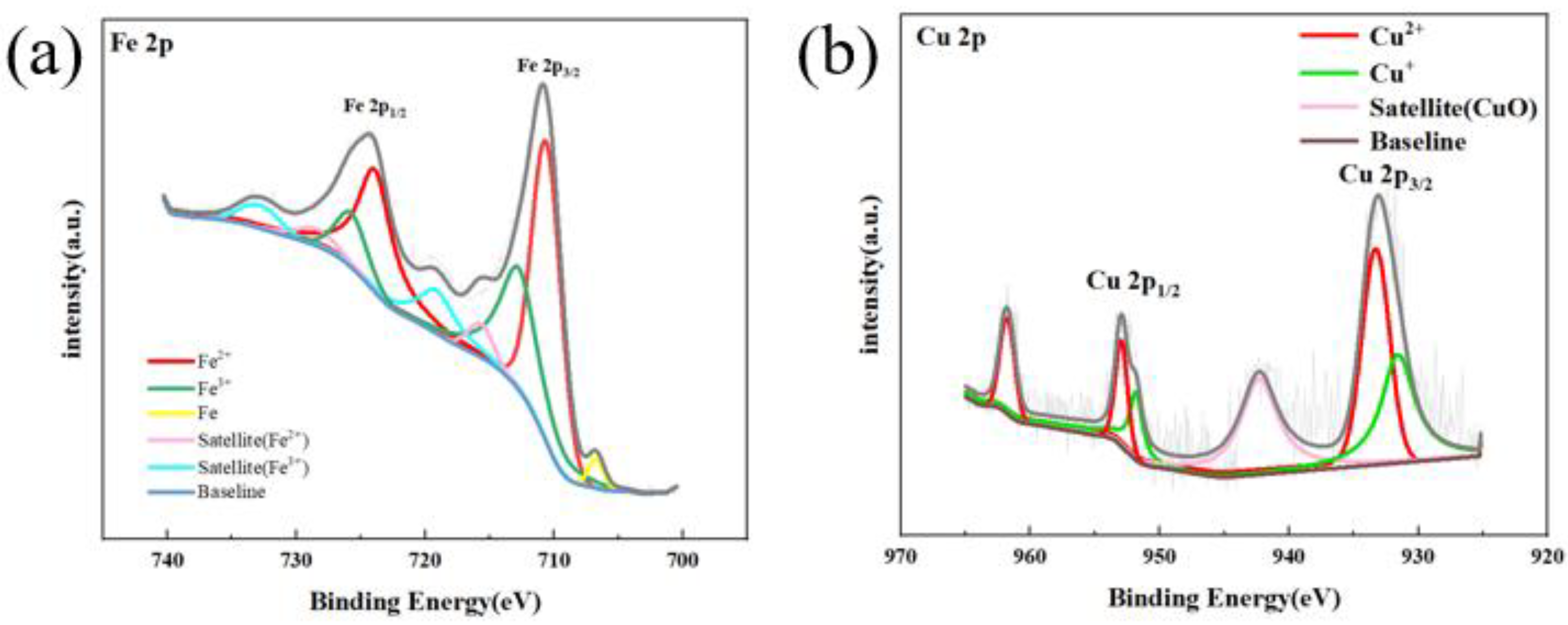 Coatings 14 00556 g015