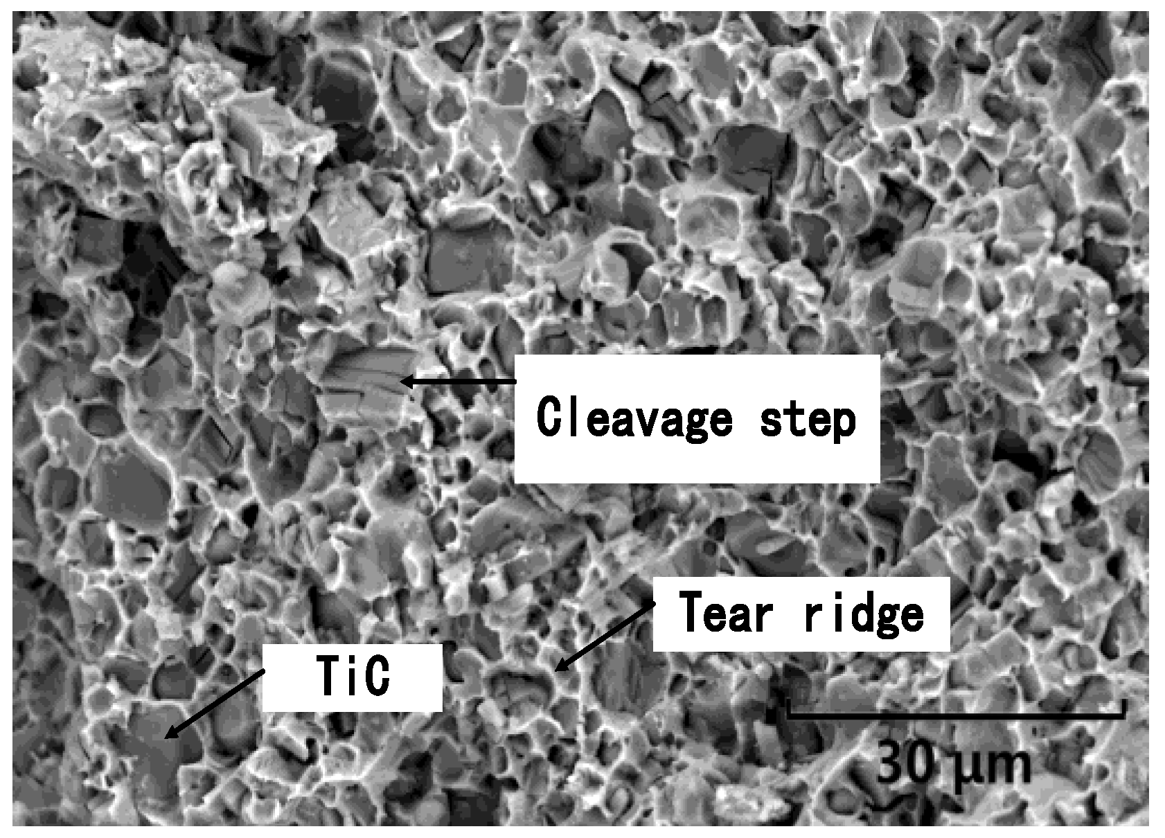 Tearing Ridge The Effect of W, Cr, Mo Content on the Microstructure and Mechanical ...