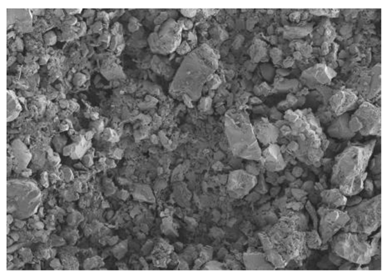 Coatings 14 00559 i001