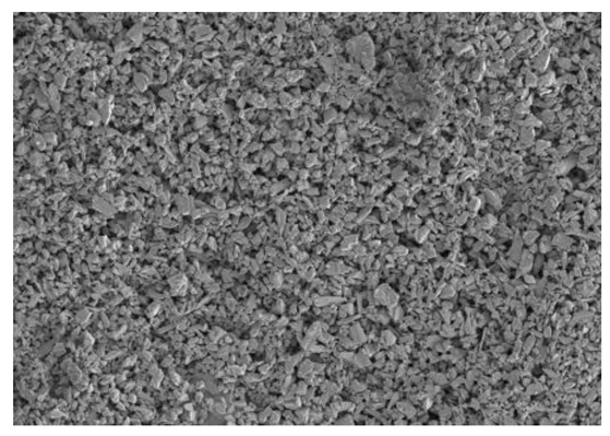 Coatings 14 00559 i002