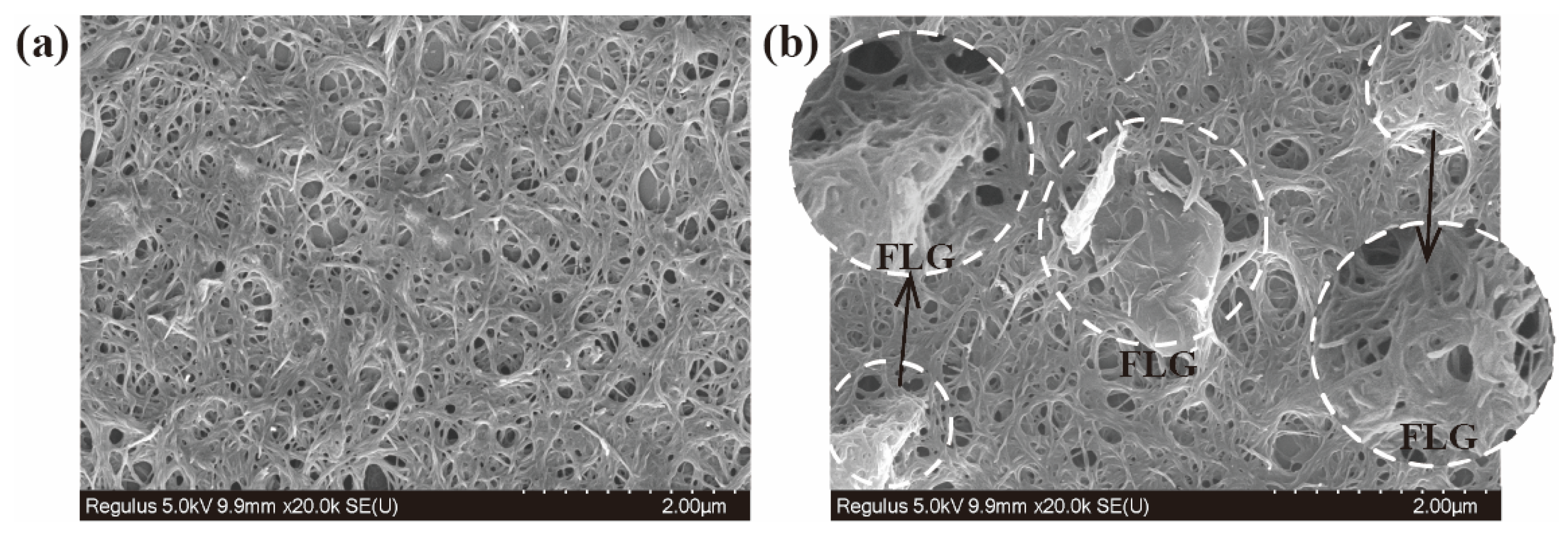 Coatings 14 00561 g004 Coatings 14 00561 g004